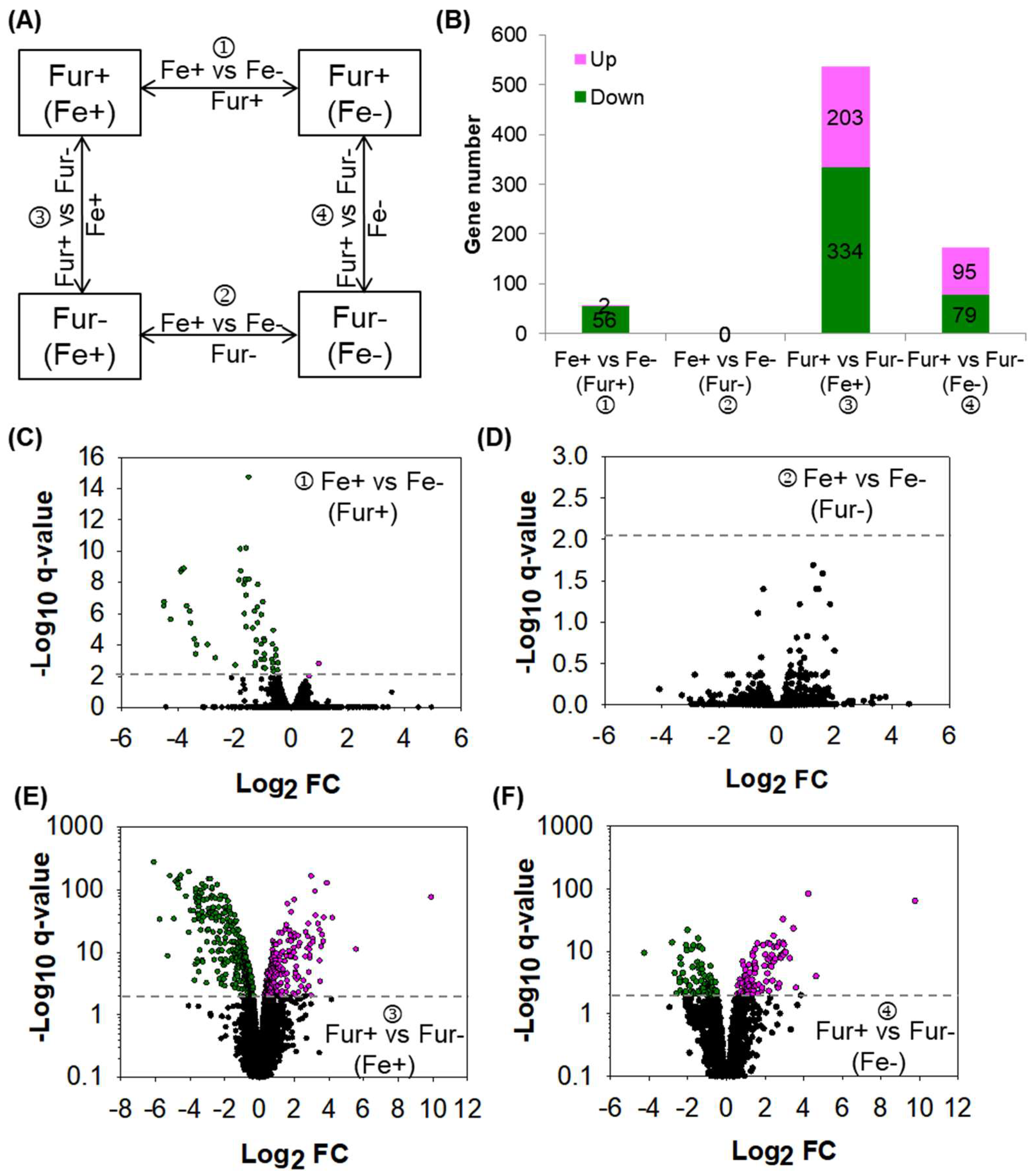 Ijms 24 09078 g001 Ijms 24 09078 g001