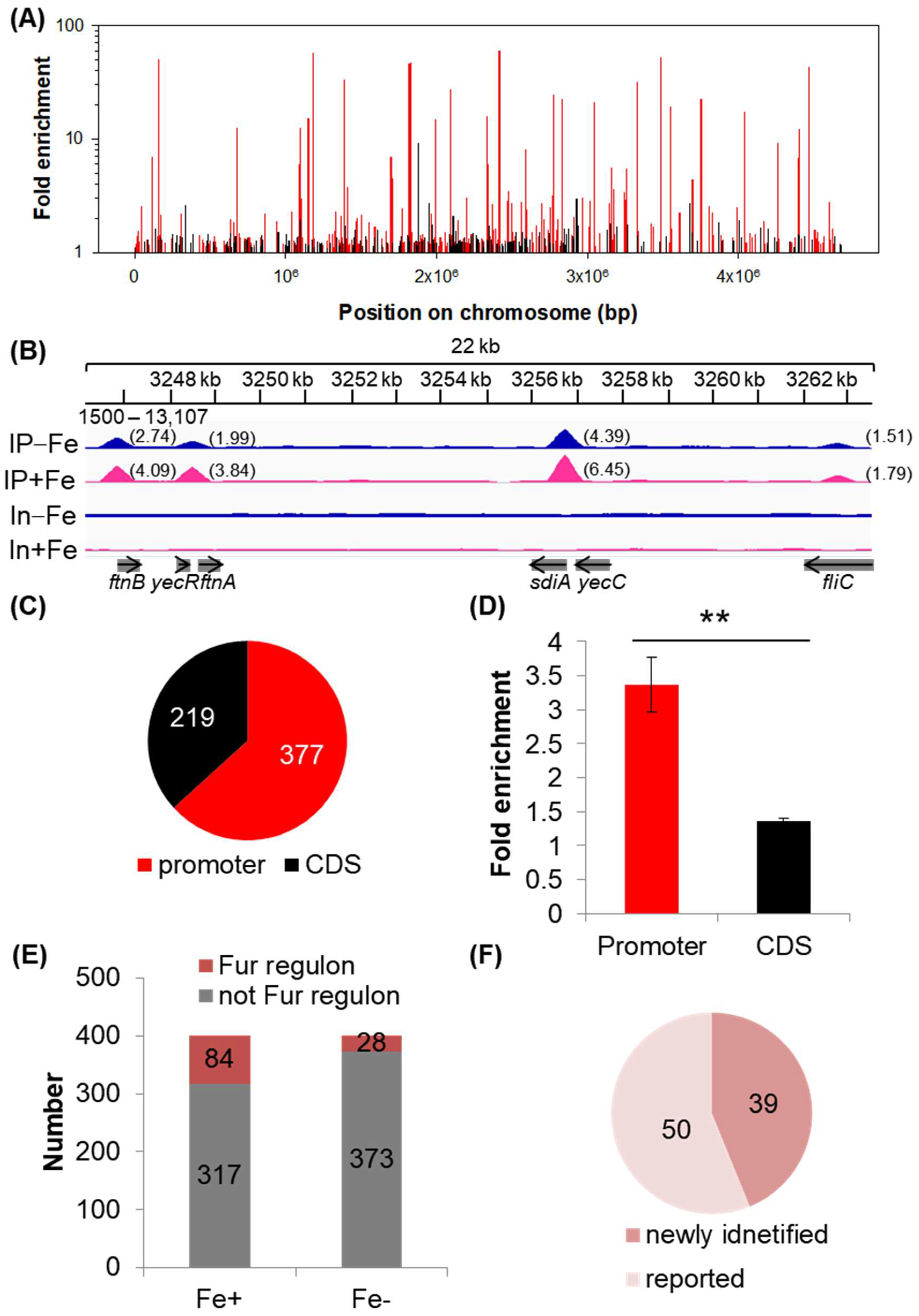 Ijms 24 09078 g002 Ijms 24 09078 g002