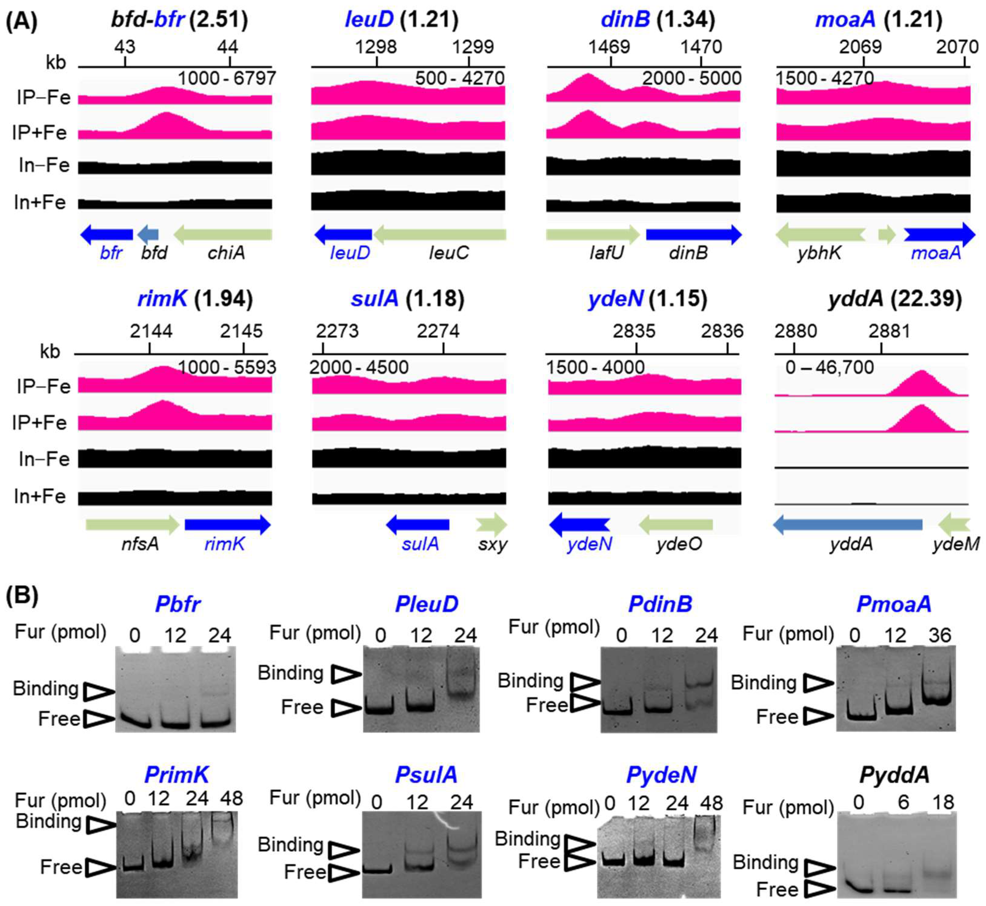Ijms 24 09078 g003 Ijms 24 09078 g003