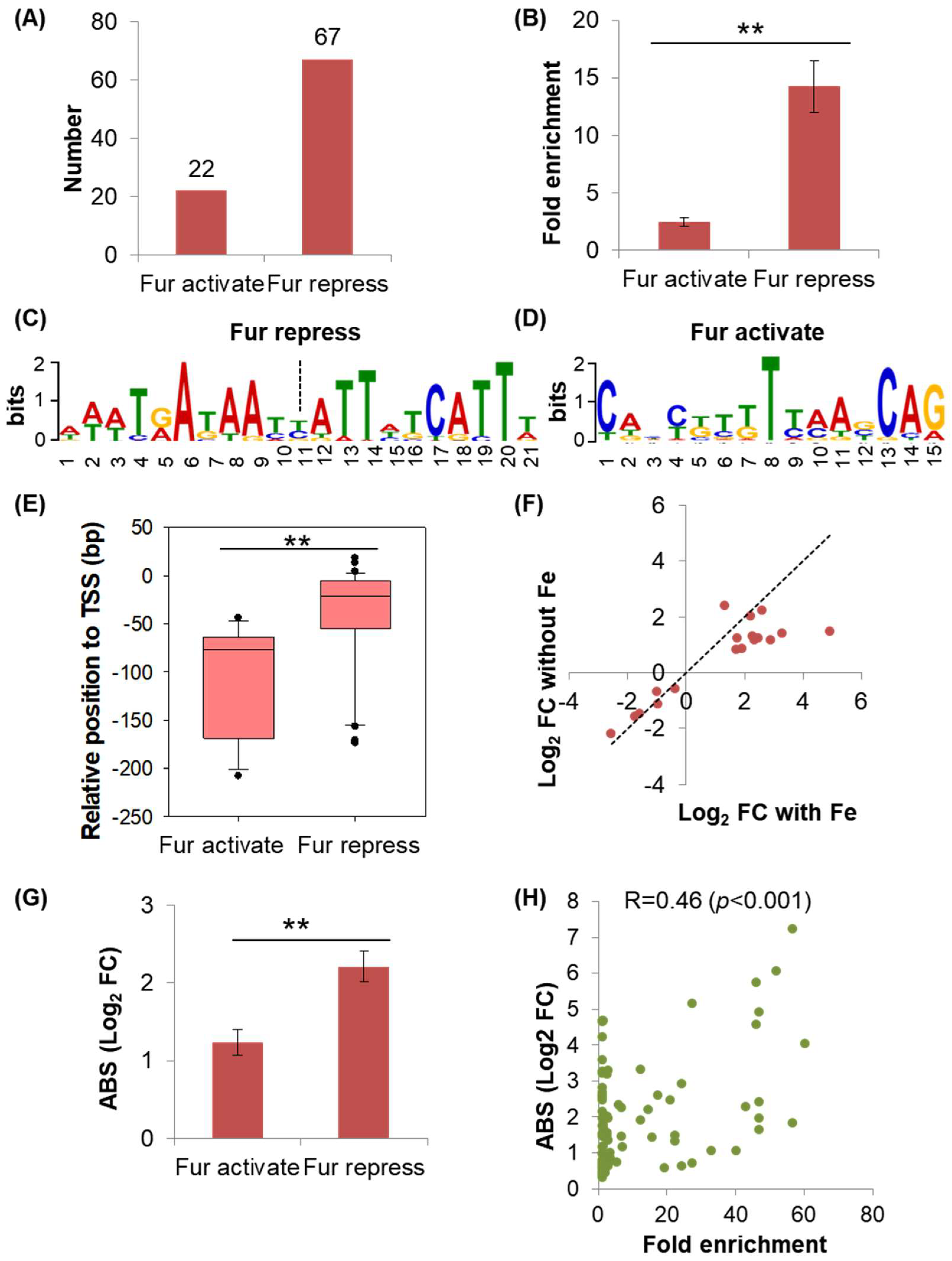 Ijms 24 09078 g004 Ijms 24 09078 g004