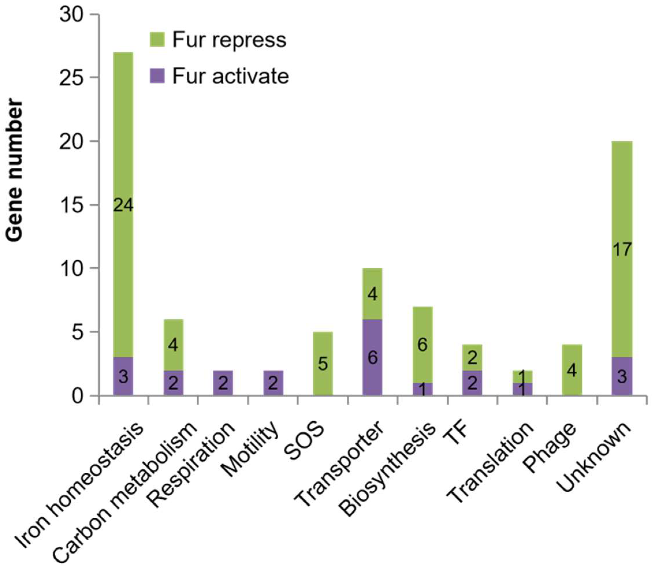Ijms 24 09078 g005 Ijms 24 09078 g005
