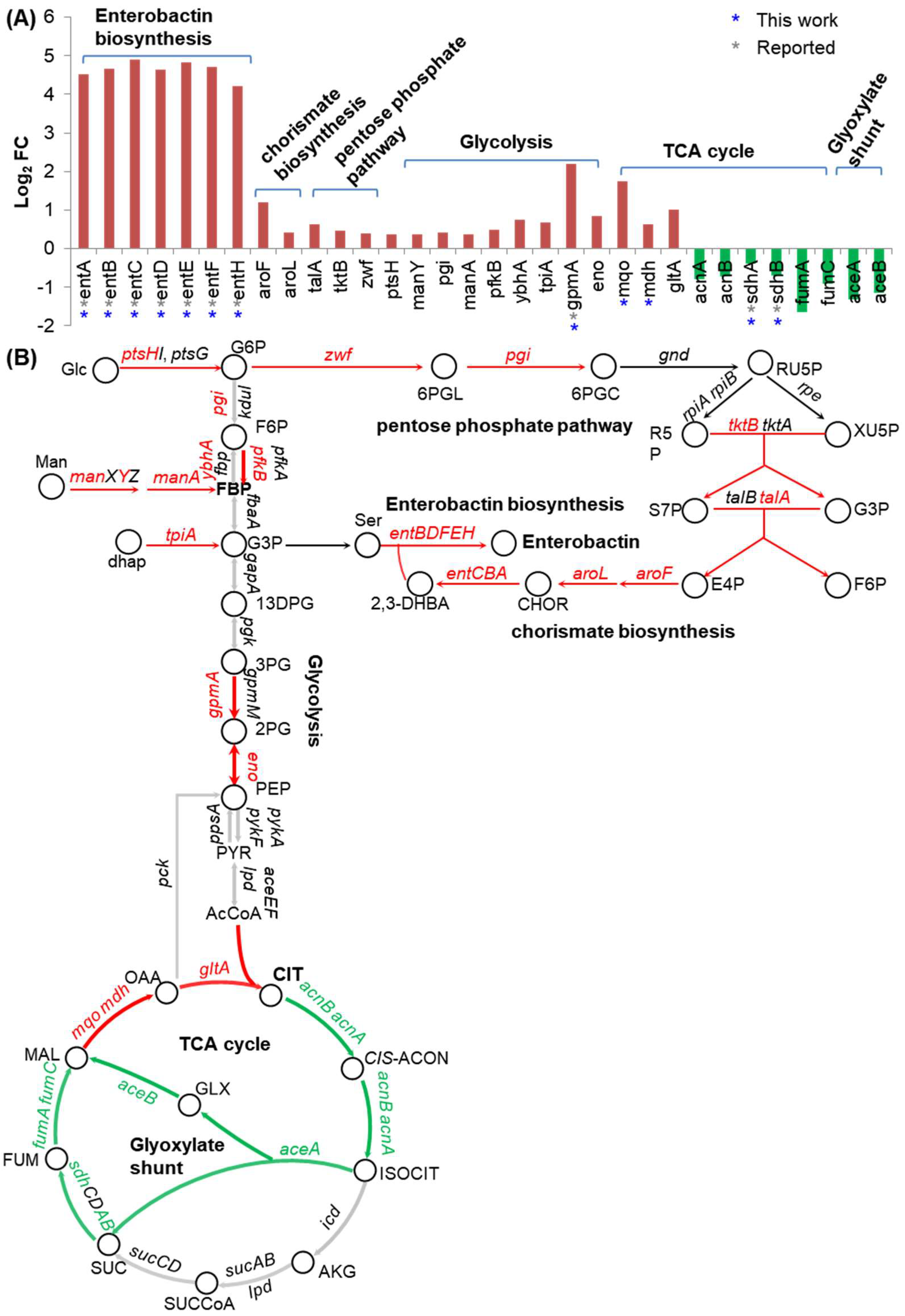 Ijms 24 09078 g006 Ijms 24 09078 g006