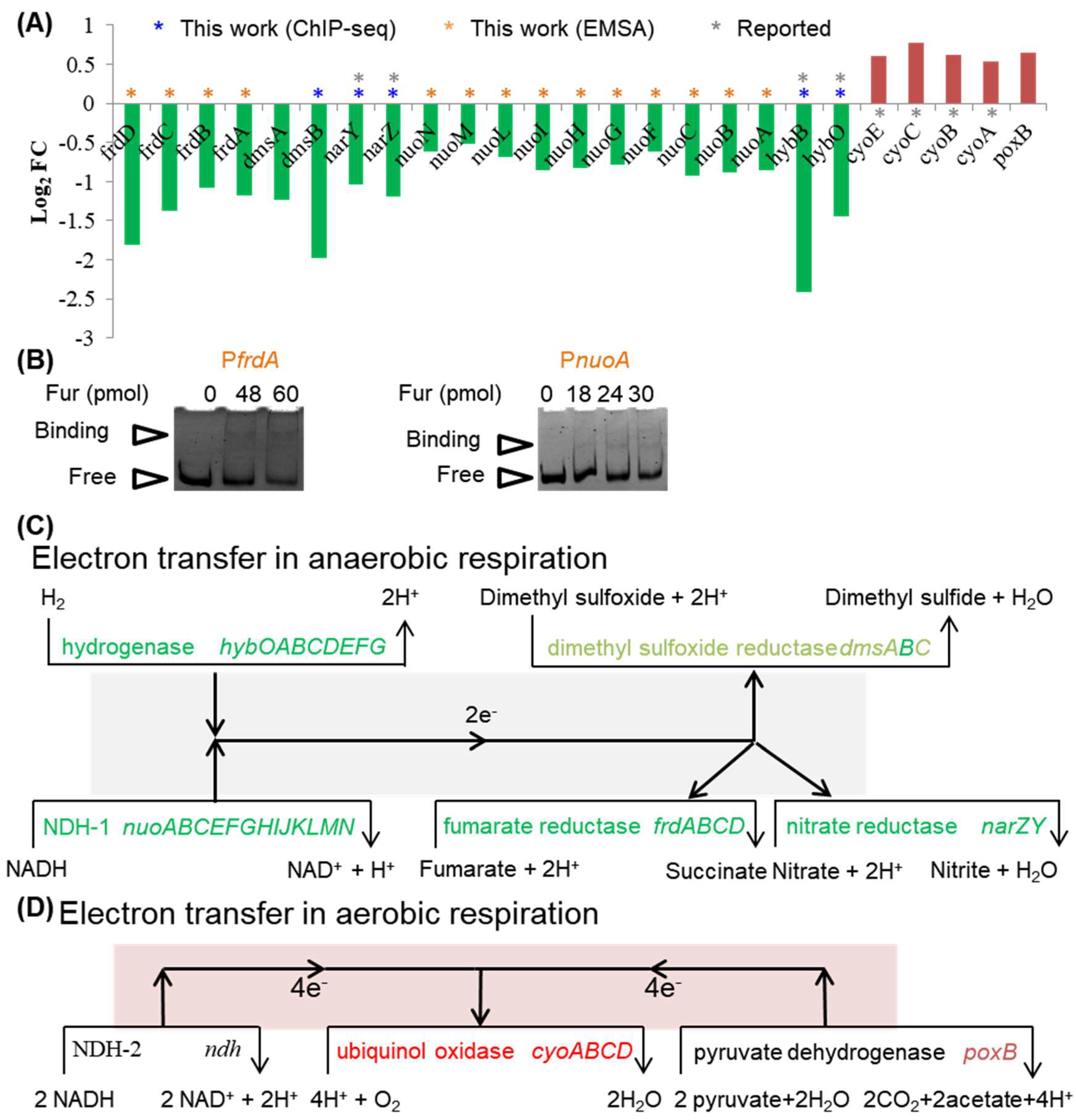 Ijms 24 09078 g007 Ijms 24 09078 g007