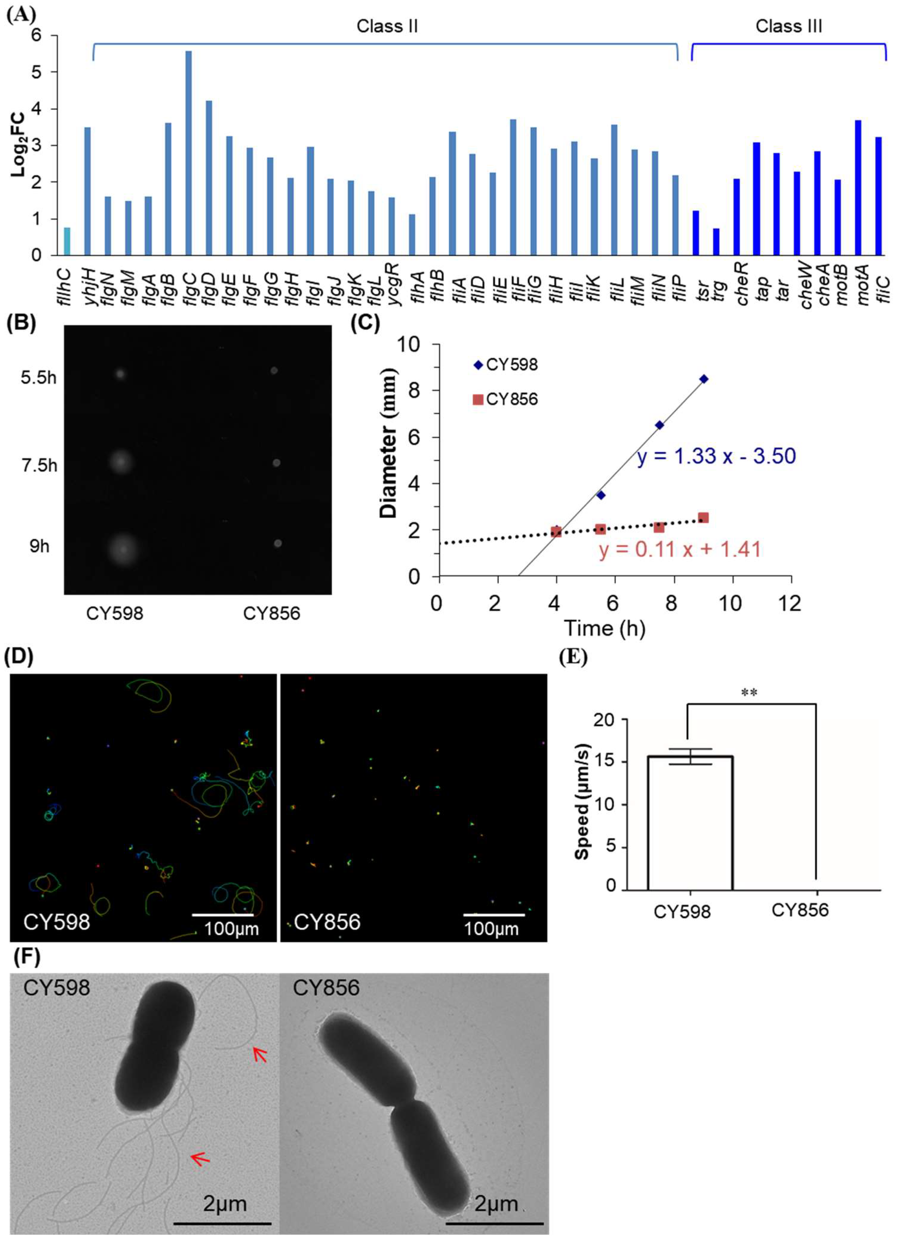 Ijms 24 09078 g008 Ijms 24 09078 g008