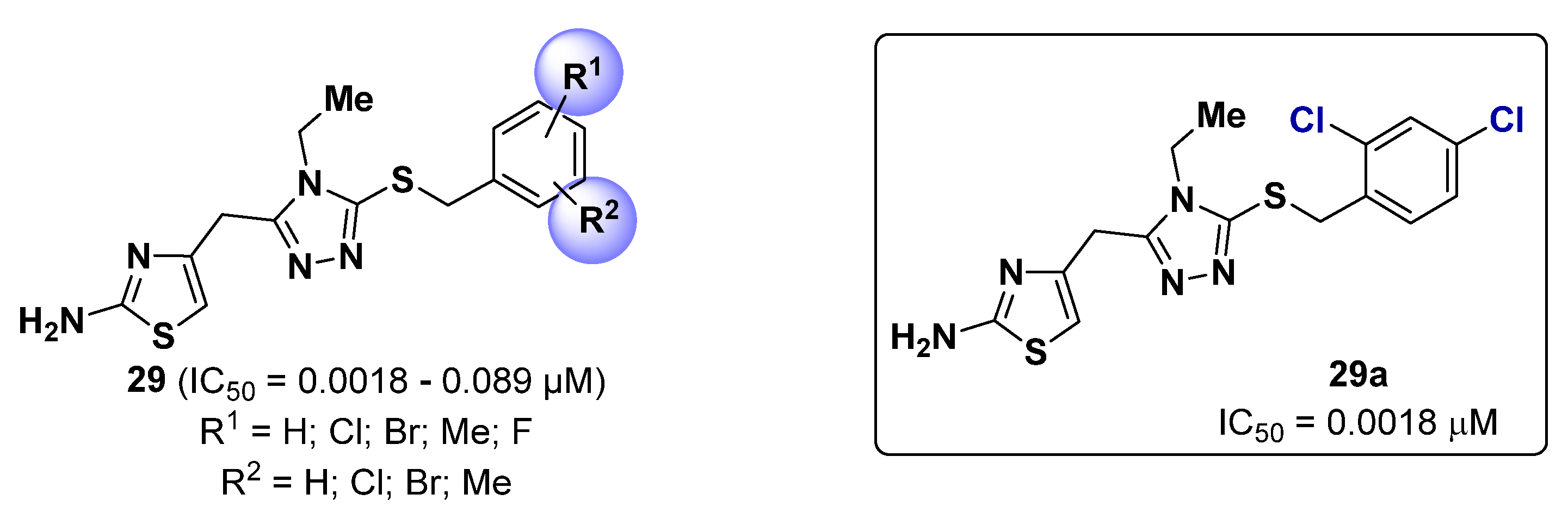 Ijms 24 09097 g017 Ijms 24 09097 g017