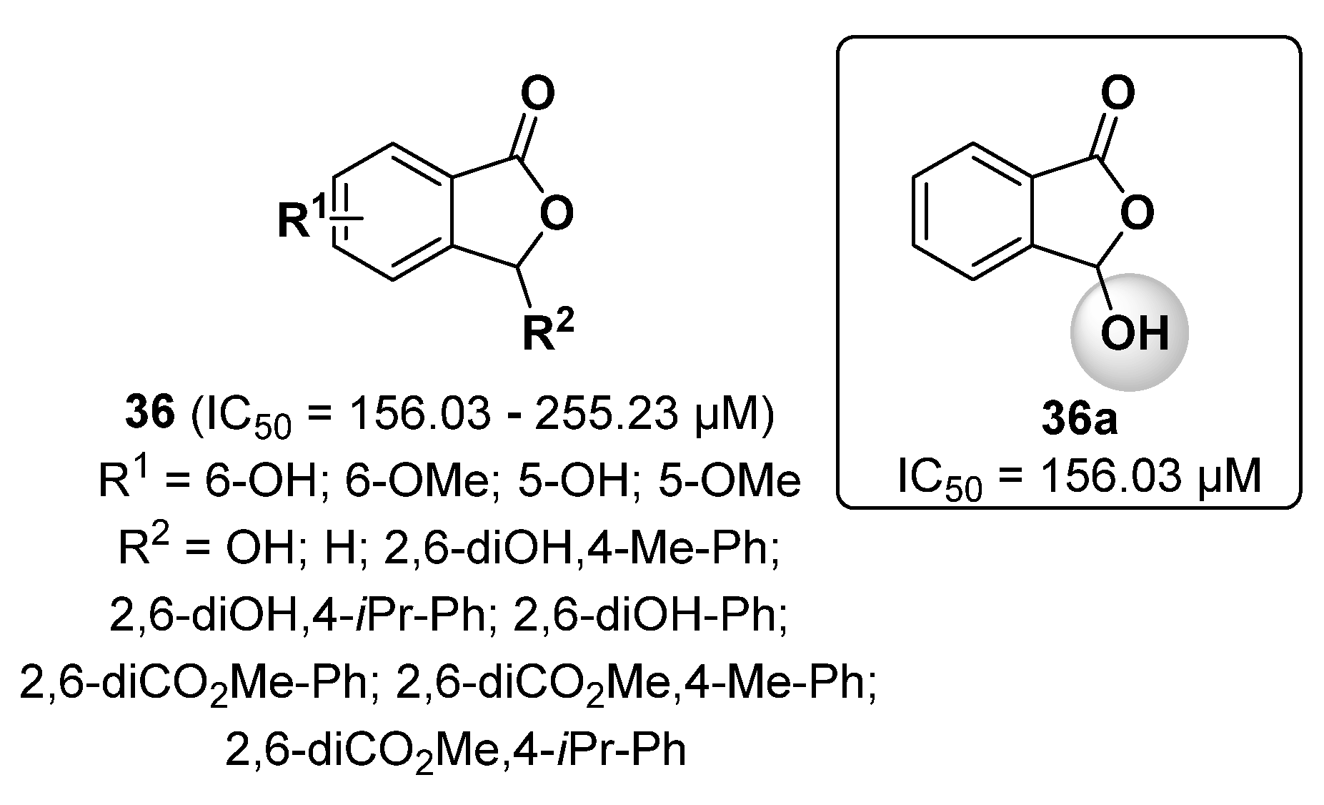 Ijms 24 09097 g021 Ijms 24 09097 g021