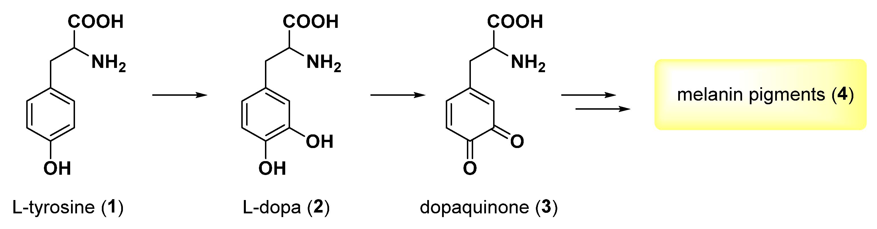 Ijms 24 09097 sch001 Ijms 24 09097 sch001