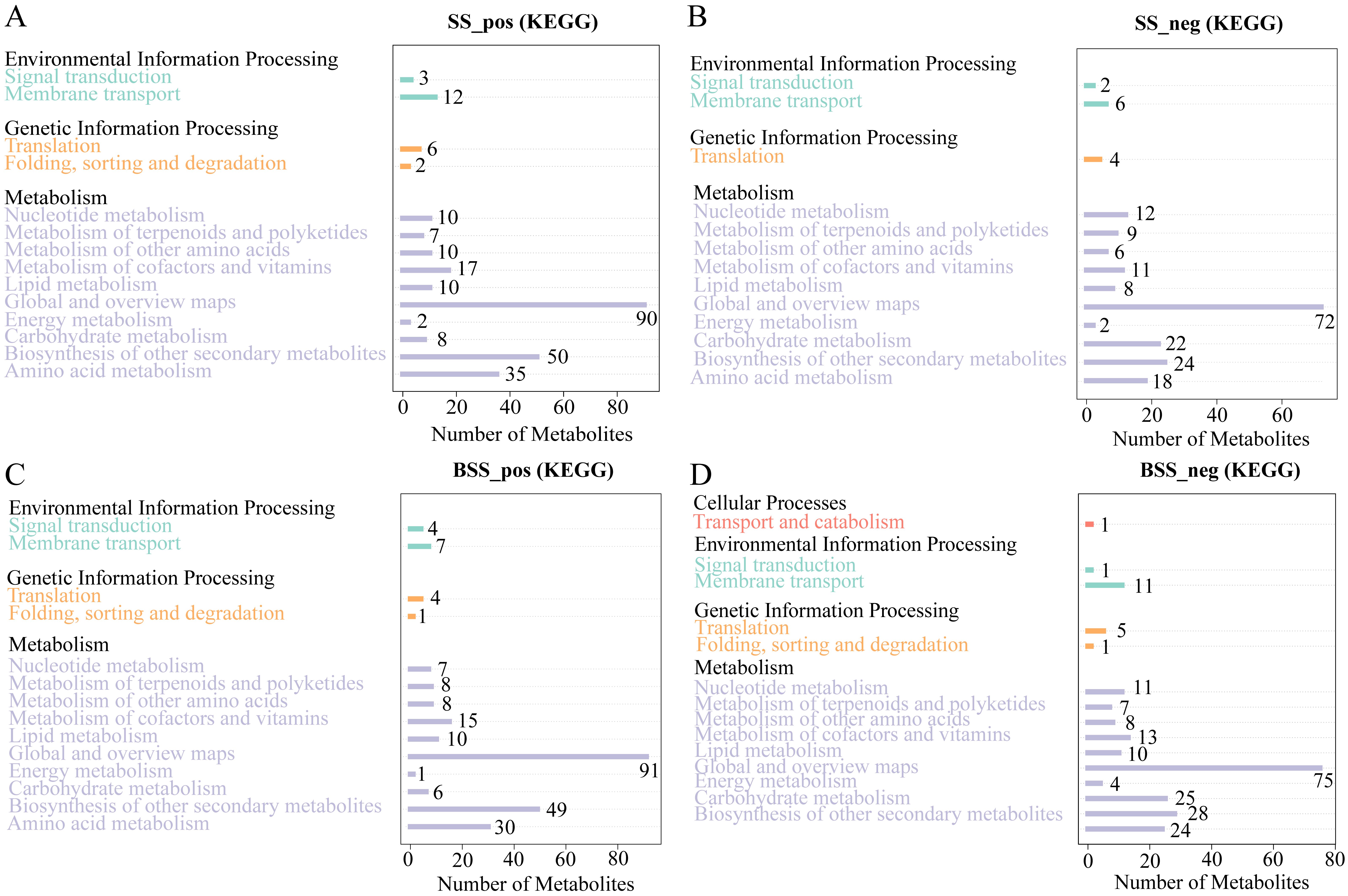 Ijms 24 09099 g006 Ijms 24 09099 g006