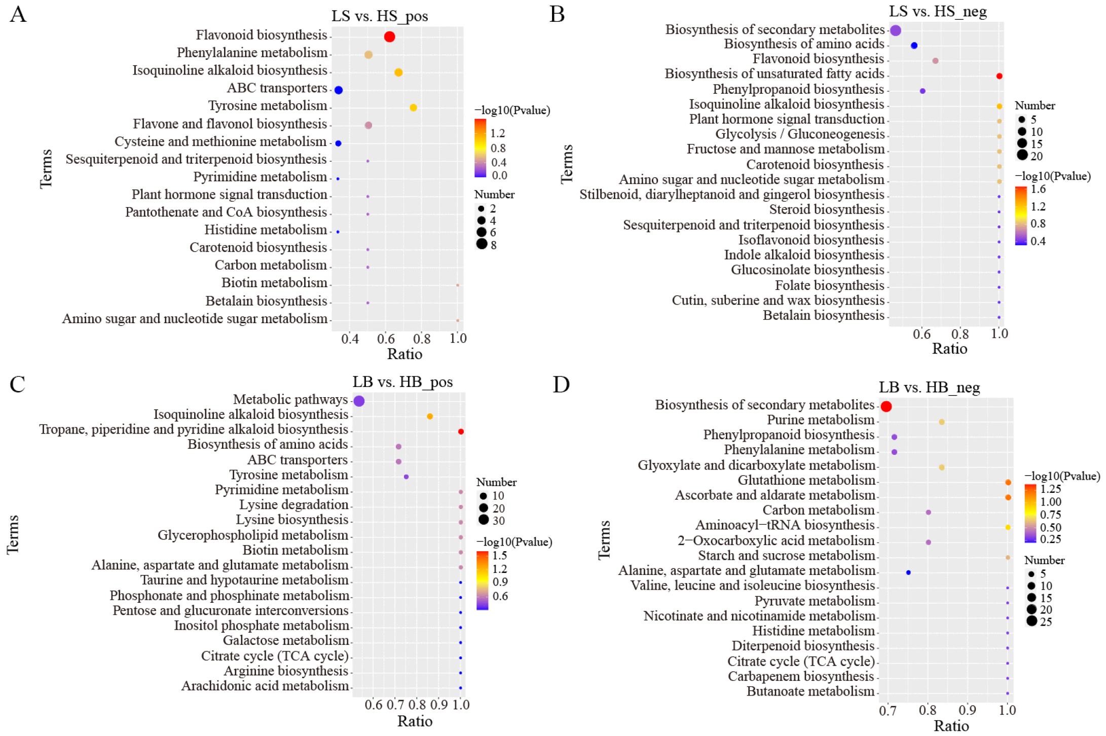 Ijms 24 09099 g010 Ijms 24 09099 g010