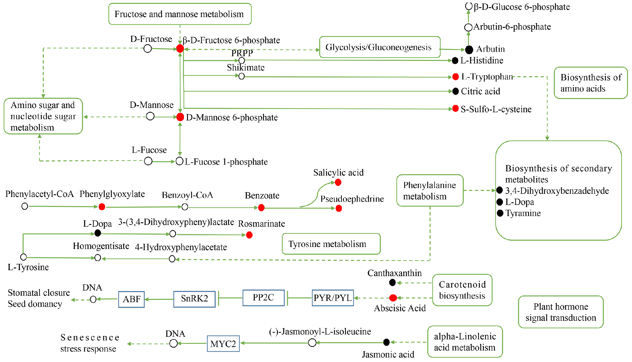 Ijms 24 09099 g011 Ijms 24 09099 g011