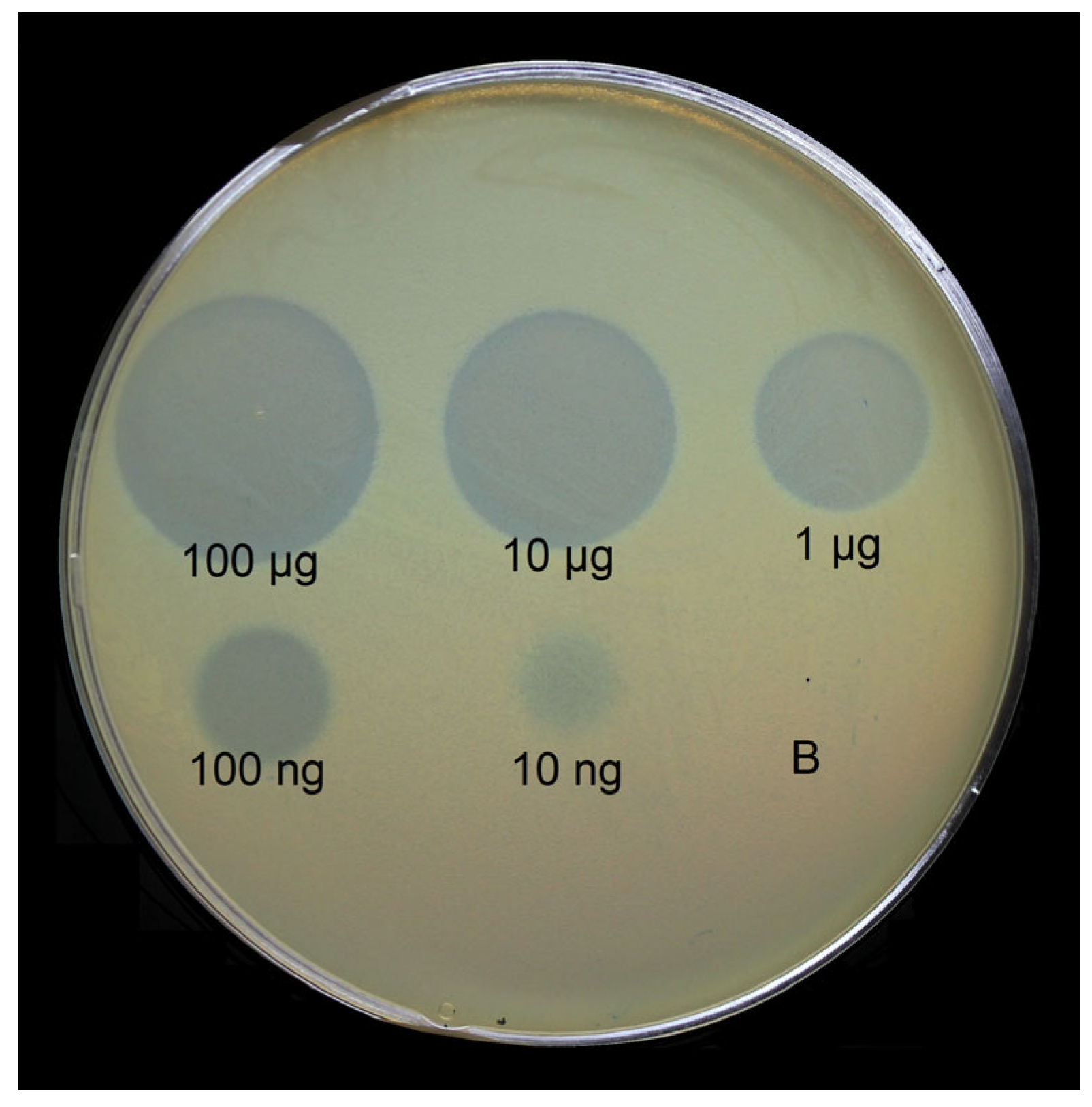 Ijms 24 09100 g003