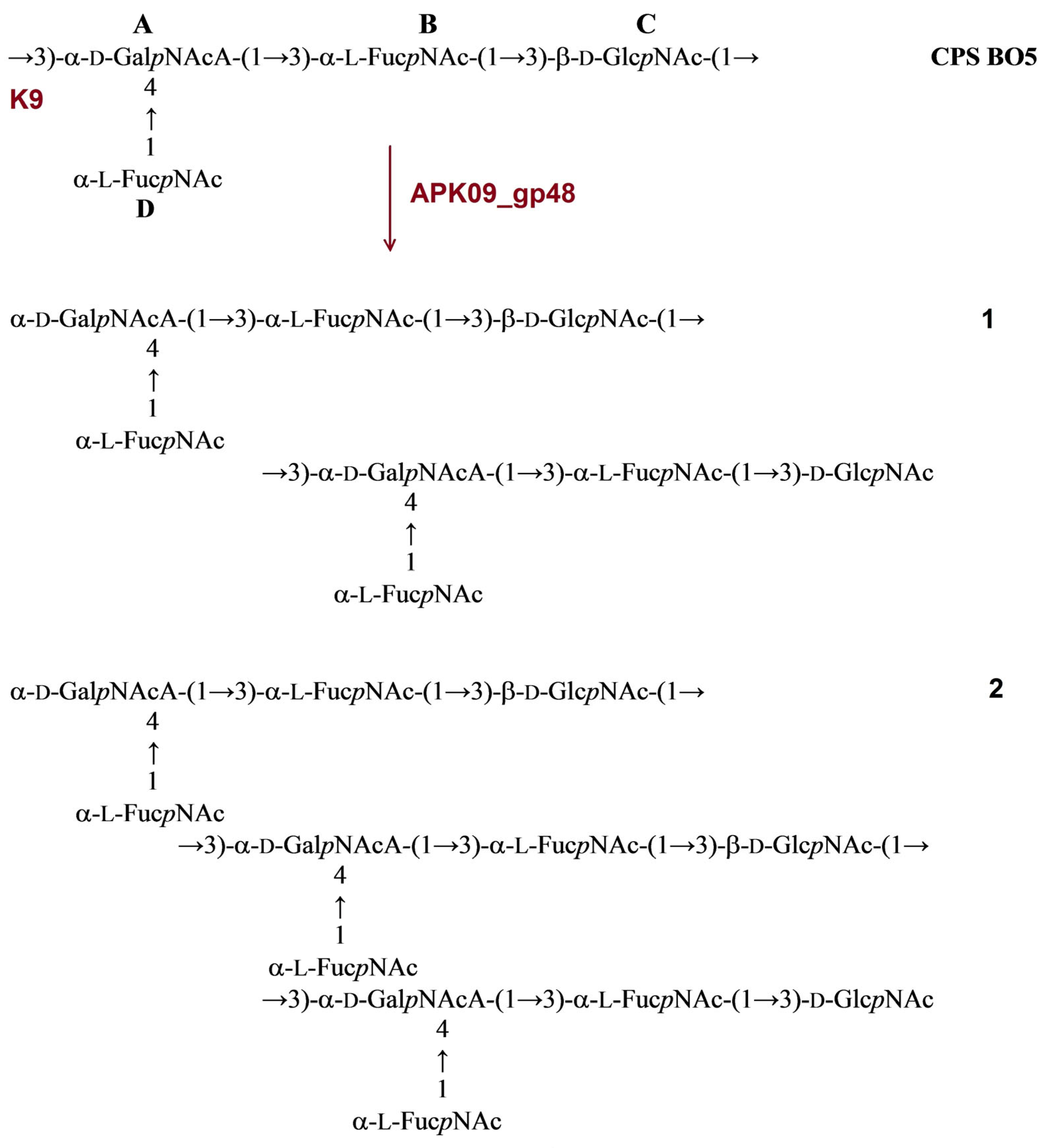 Ijms 24 09100 g004