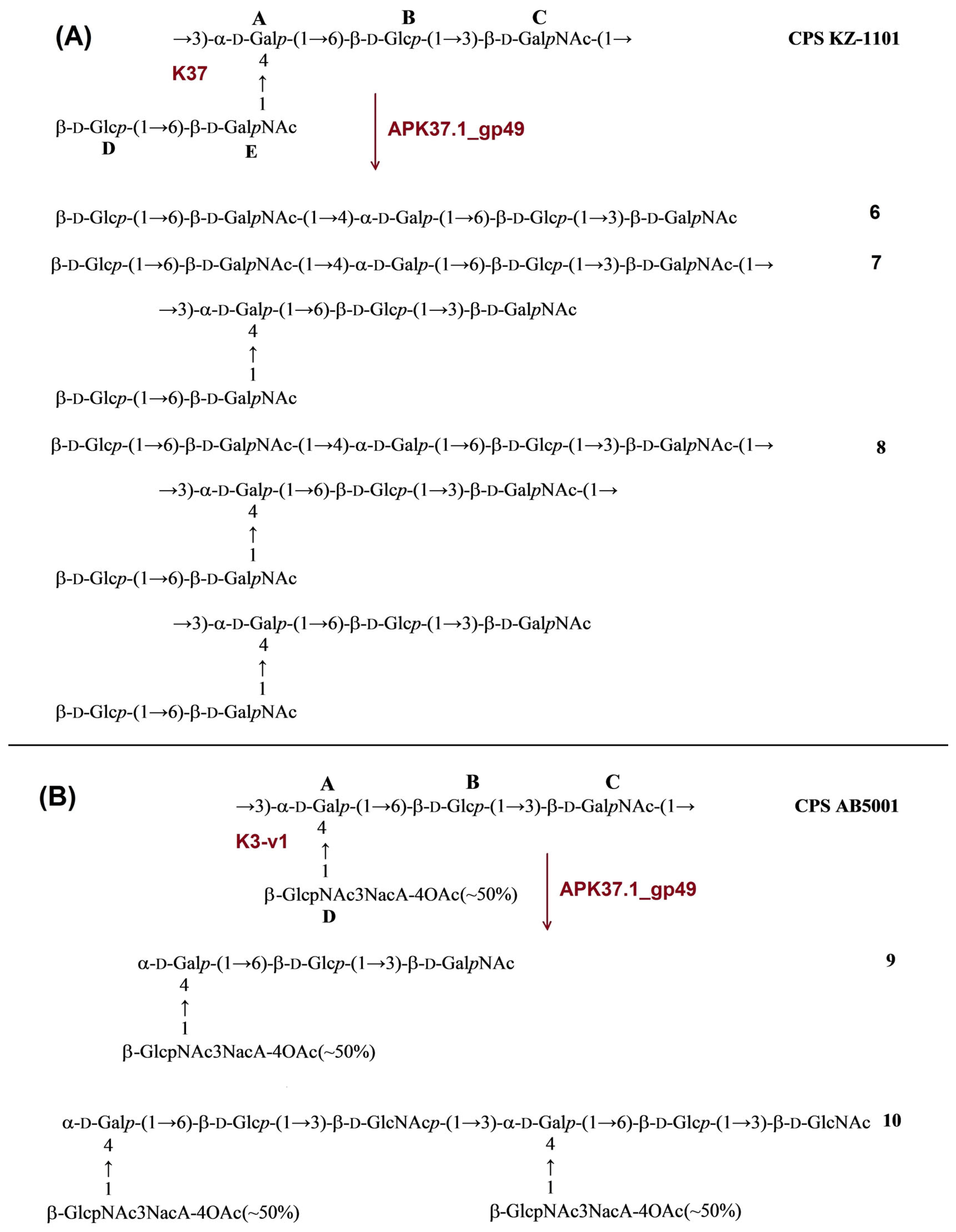Ijms 24 09100 g007