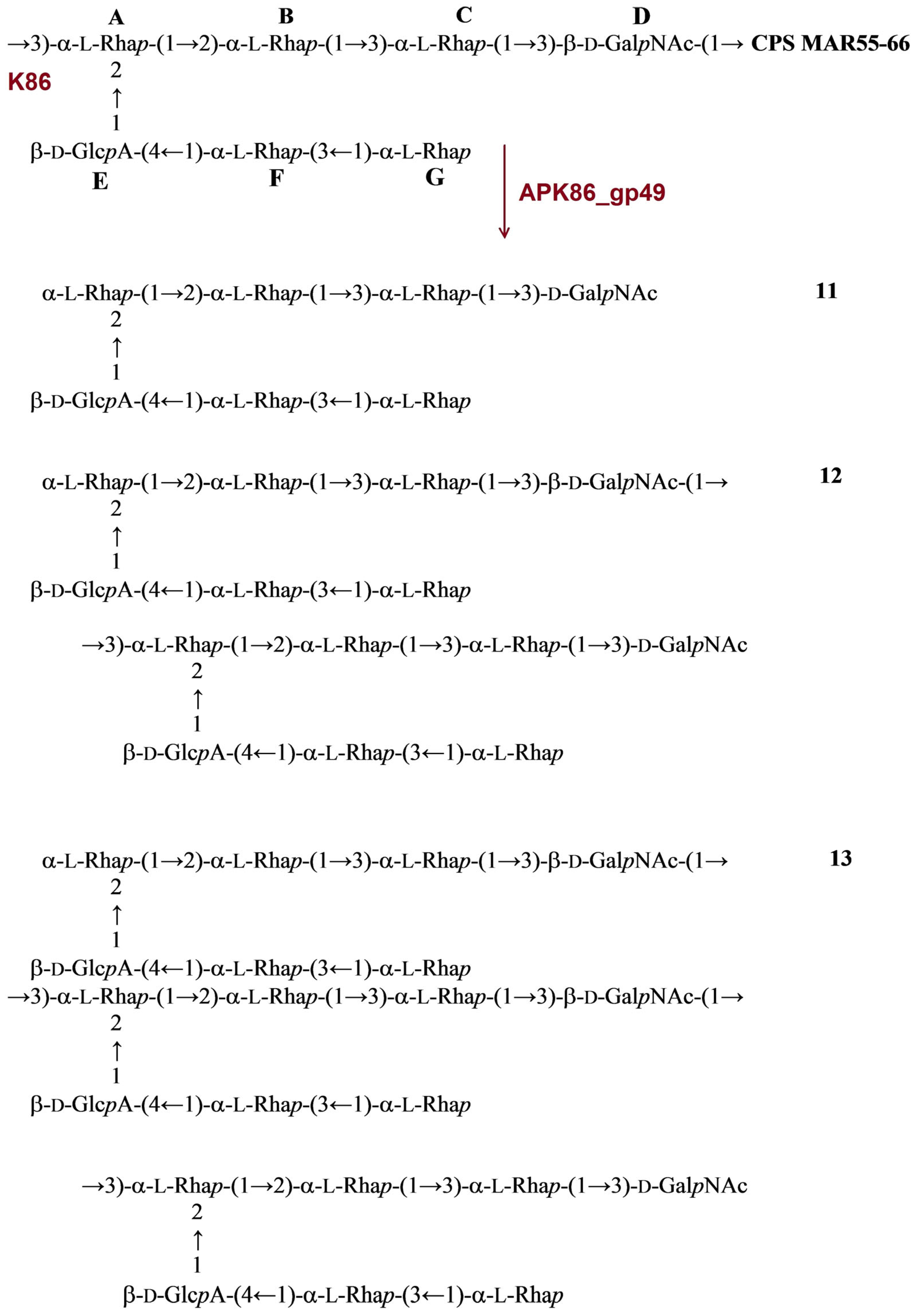 Ijms 24 09100 g008