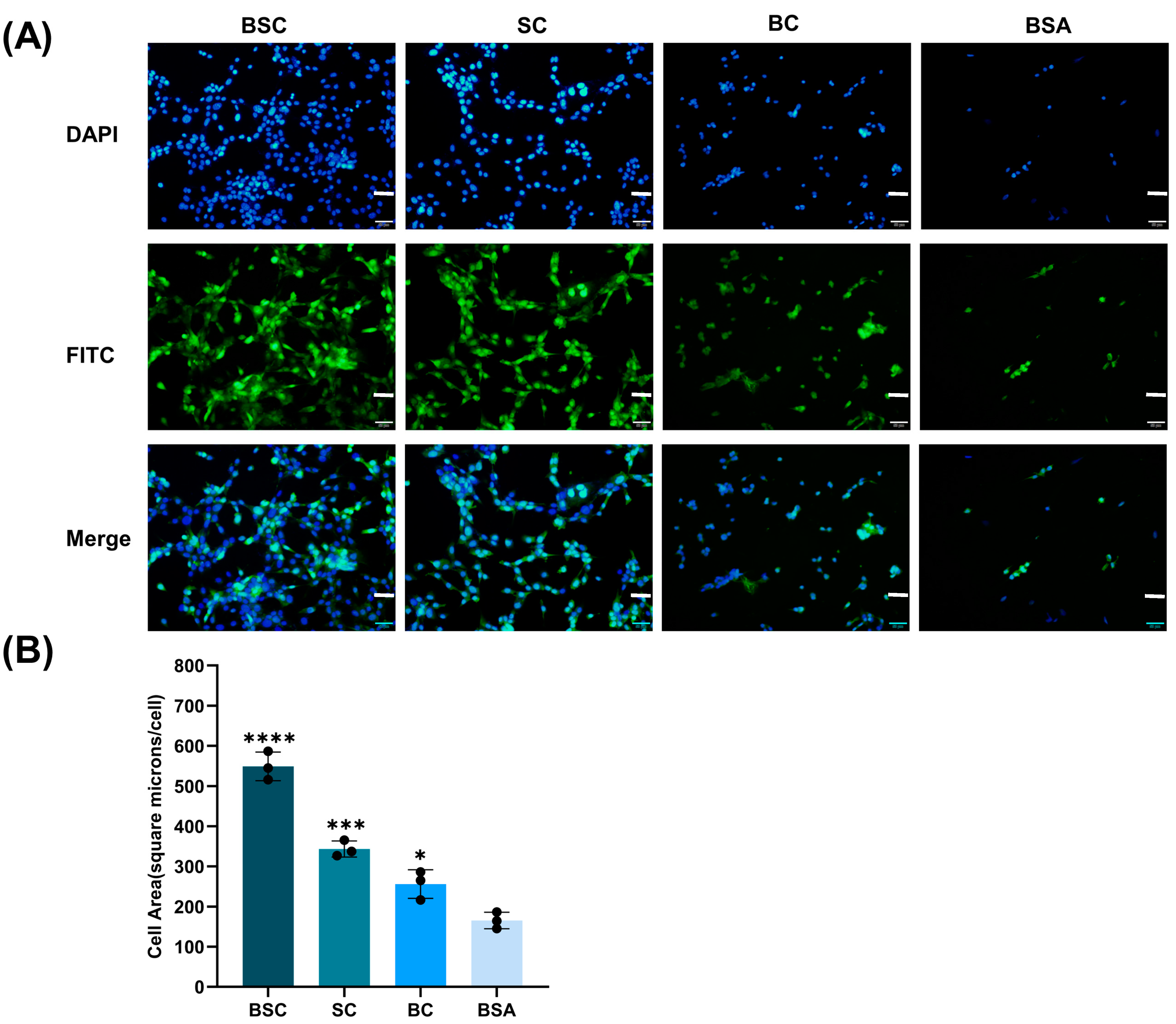 Ijms 24 09110 g004 Ijms 24 09110 g004