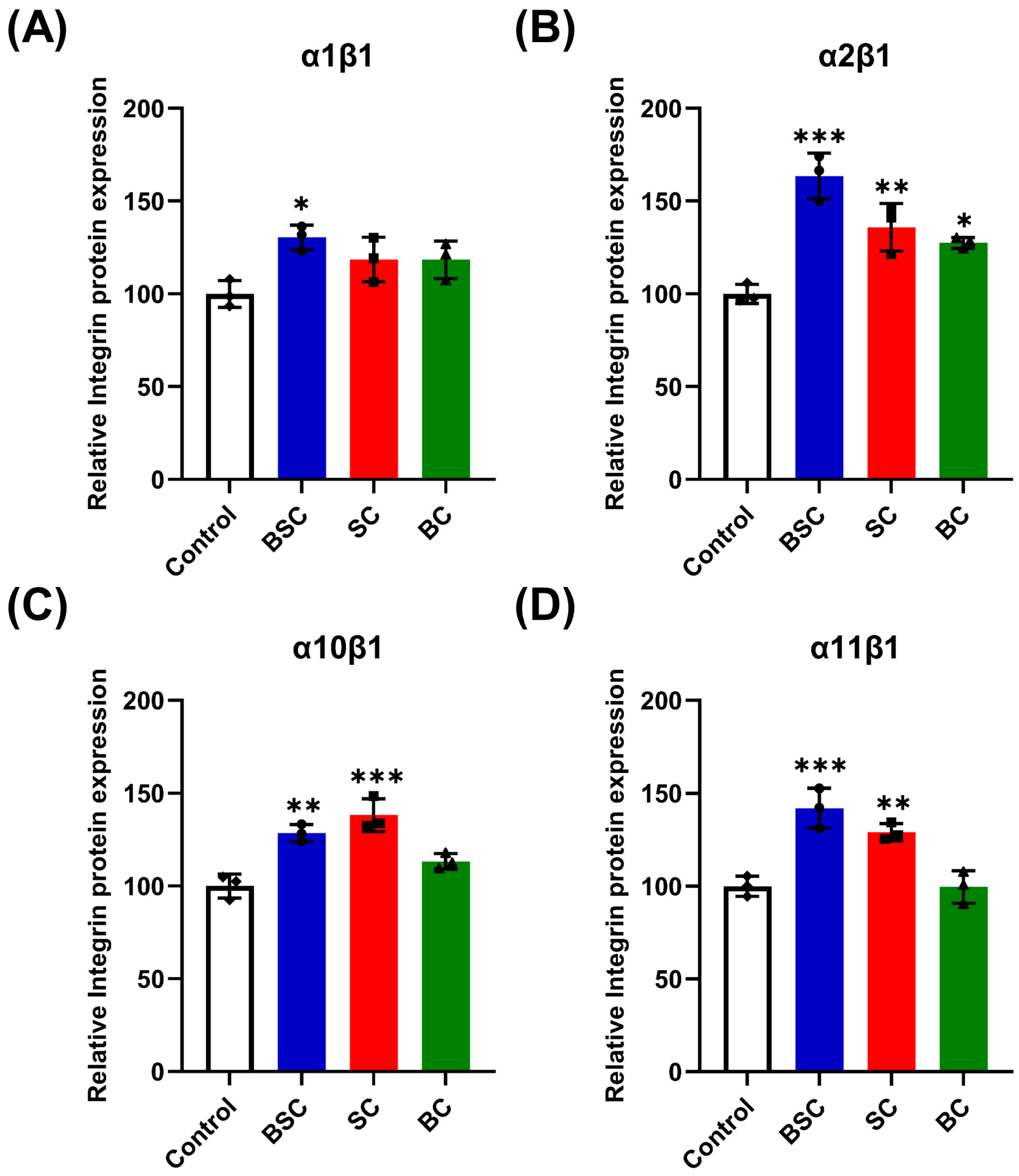 Ijms 24 09110 g007 Ijms 24 09110 g007