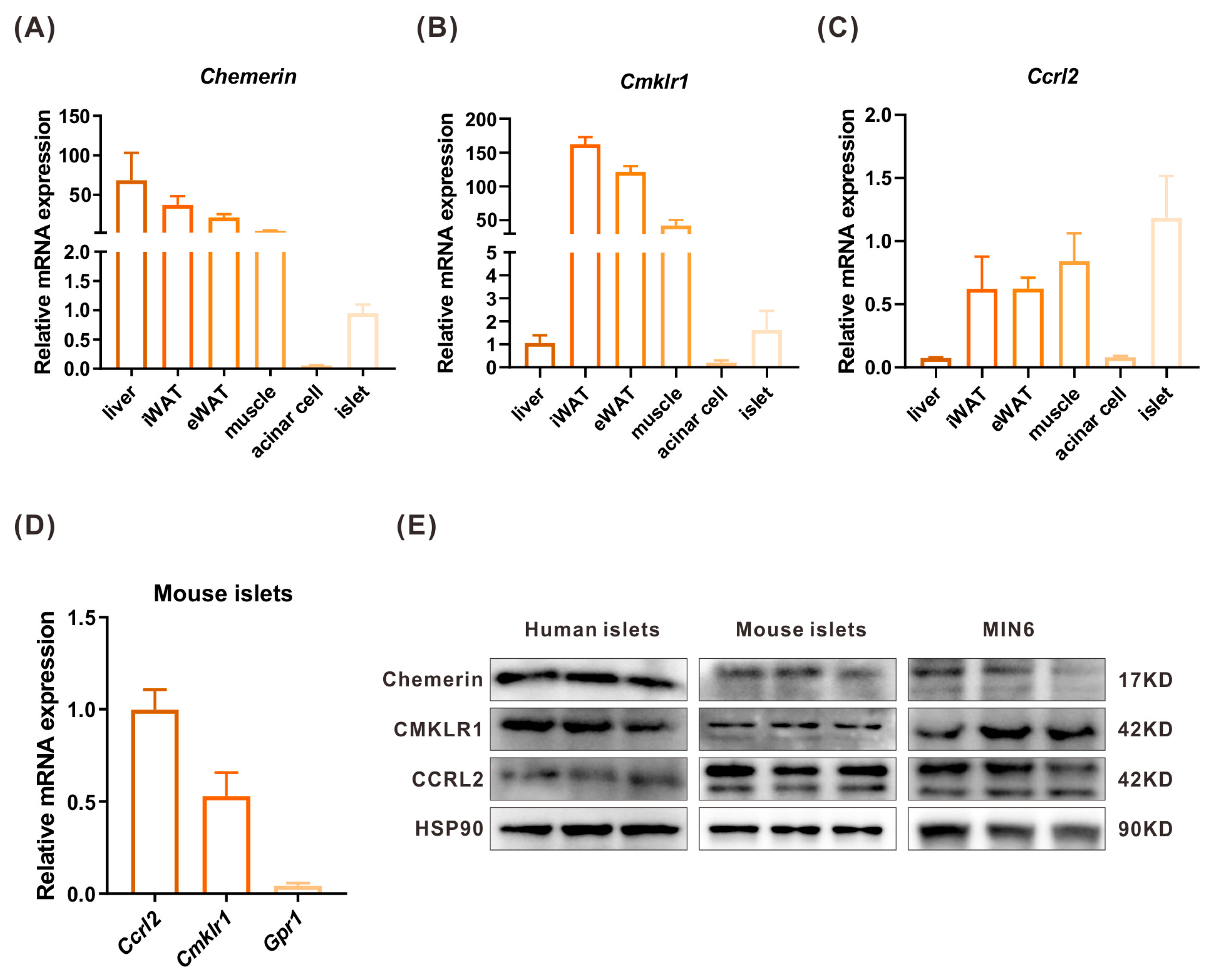 Ijms 24 09136 g002 Ijms 24 09136 g002