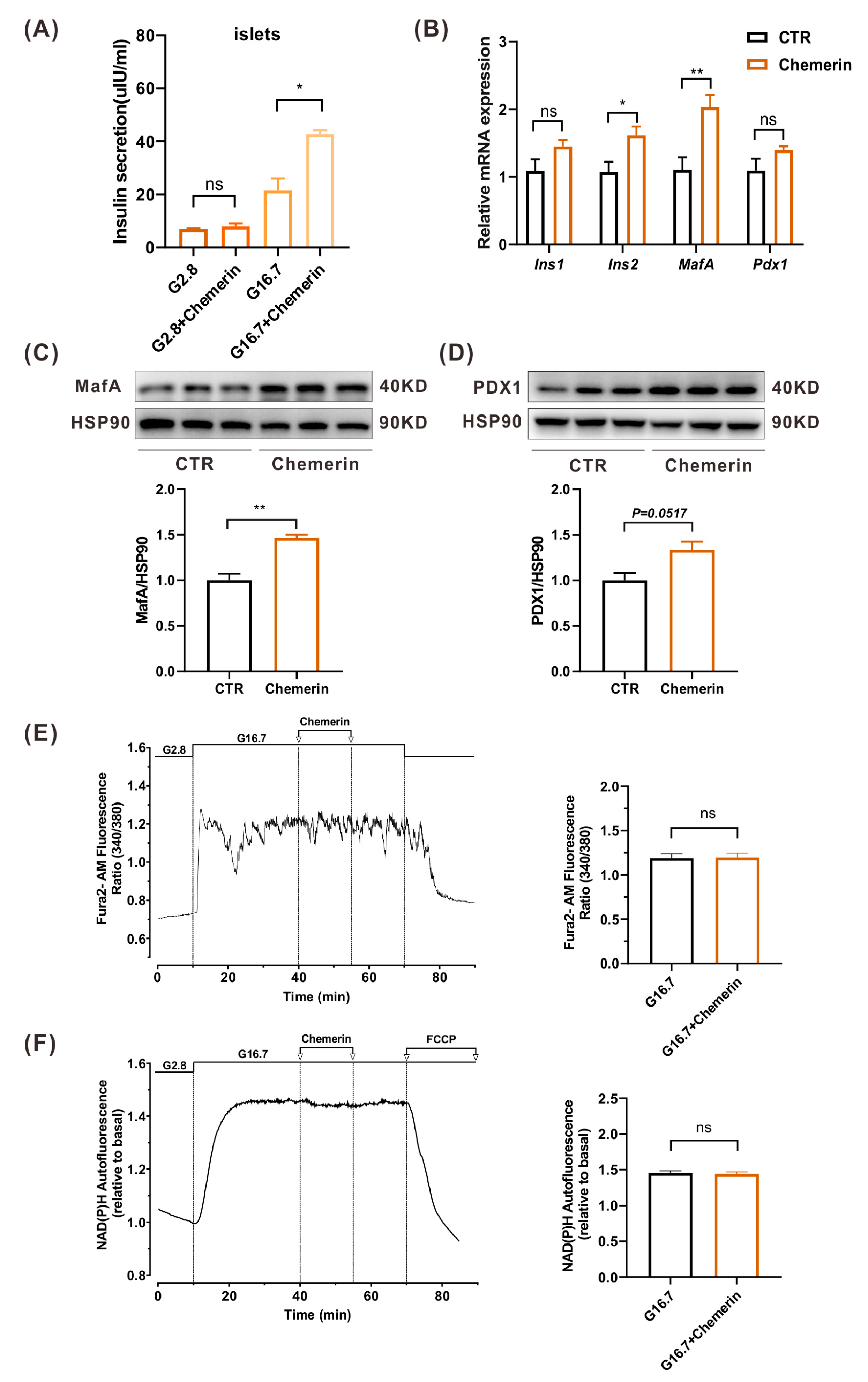 Ijms 24 09136 g006 Ijms 24 09136 g006