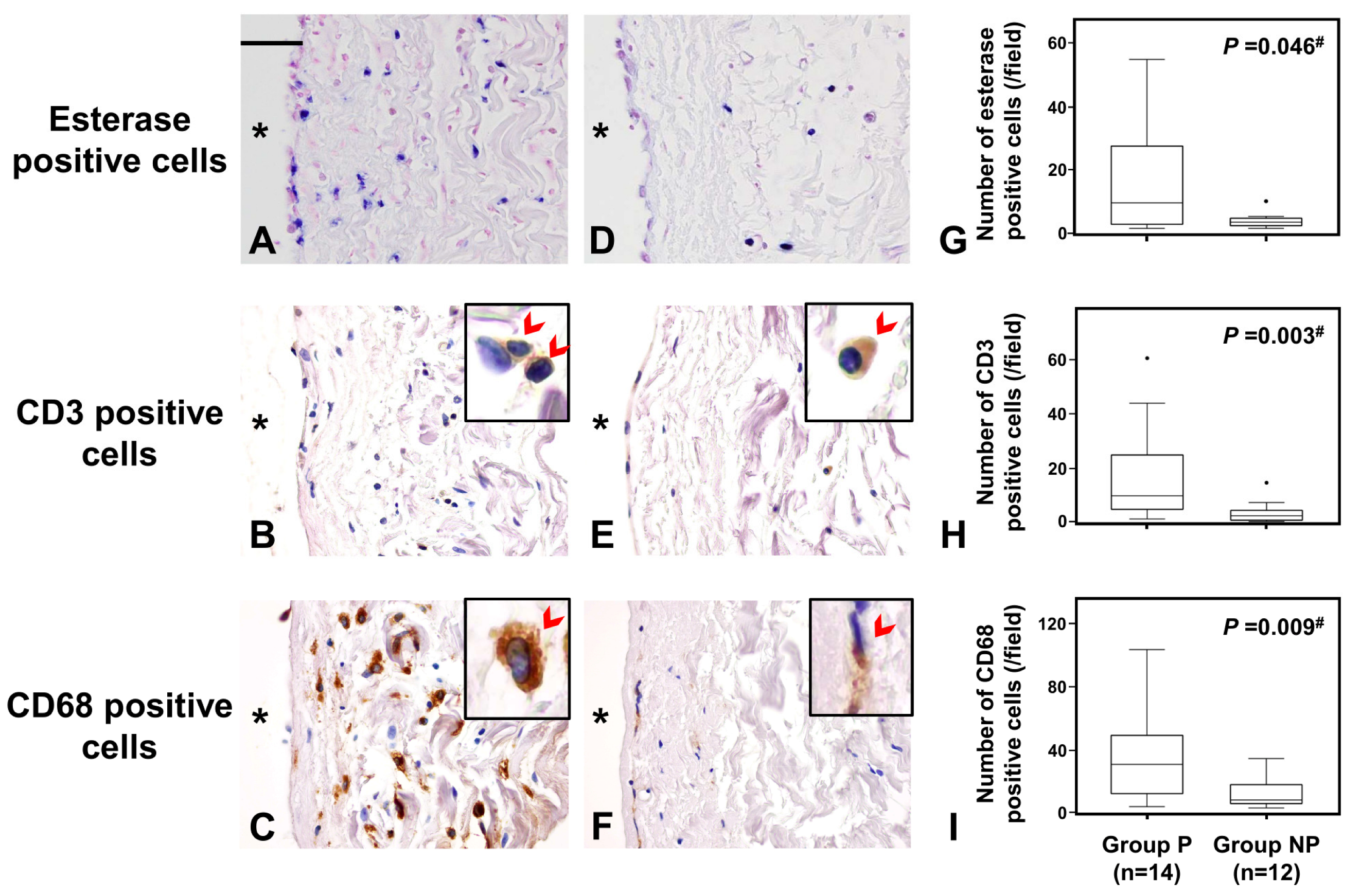 Ijms 24 09146 g003 Ijms 24 09146 g003