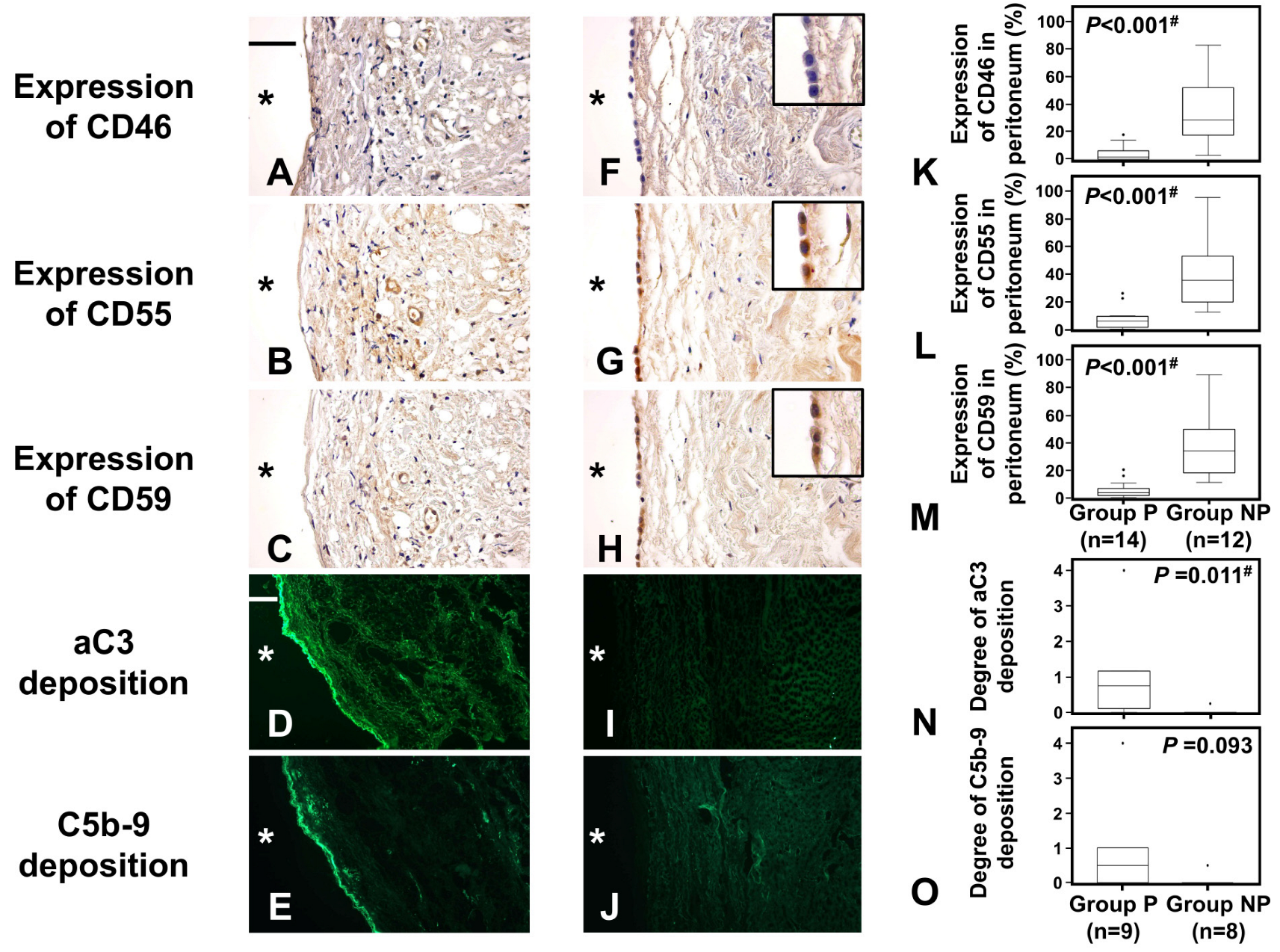 Ijms 24 09146 g004 Ijms 24 09146 g004
