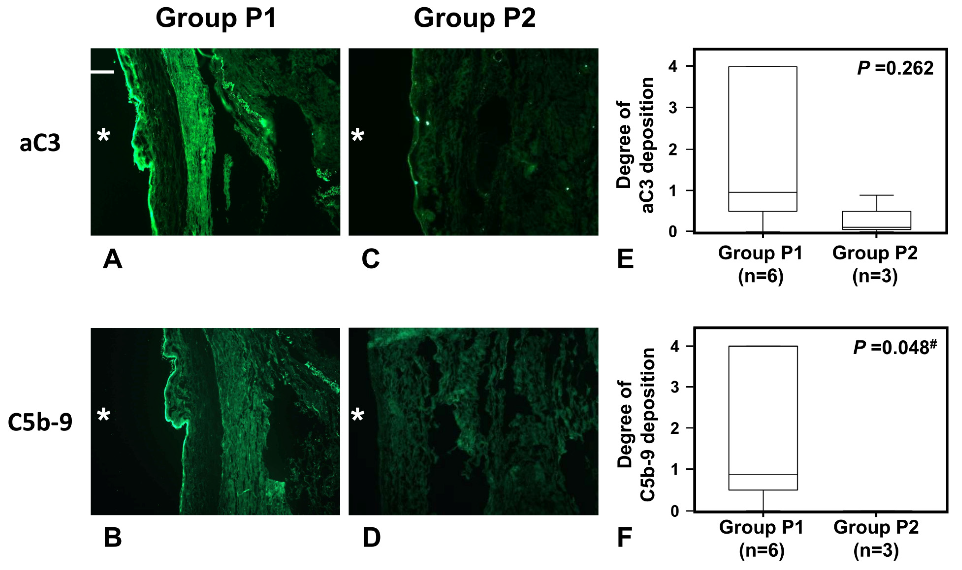 Ijms 24 09146 g006 Ijms 24 09146 g006