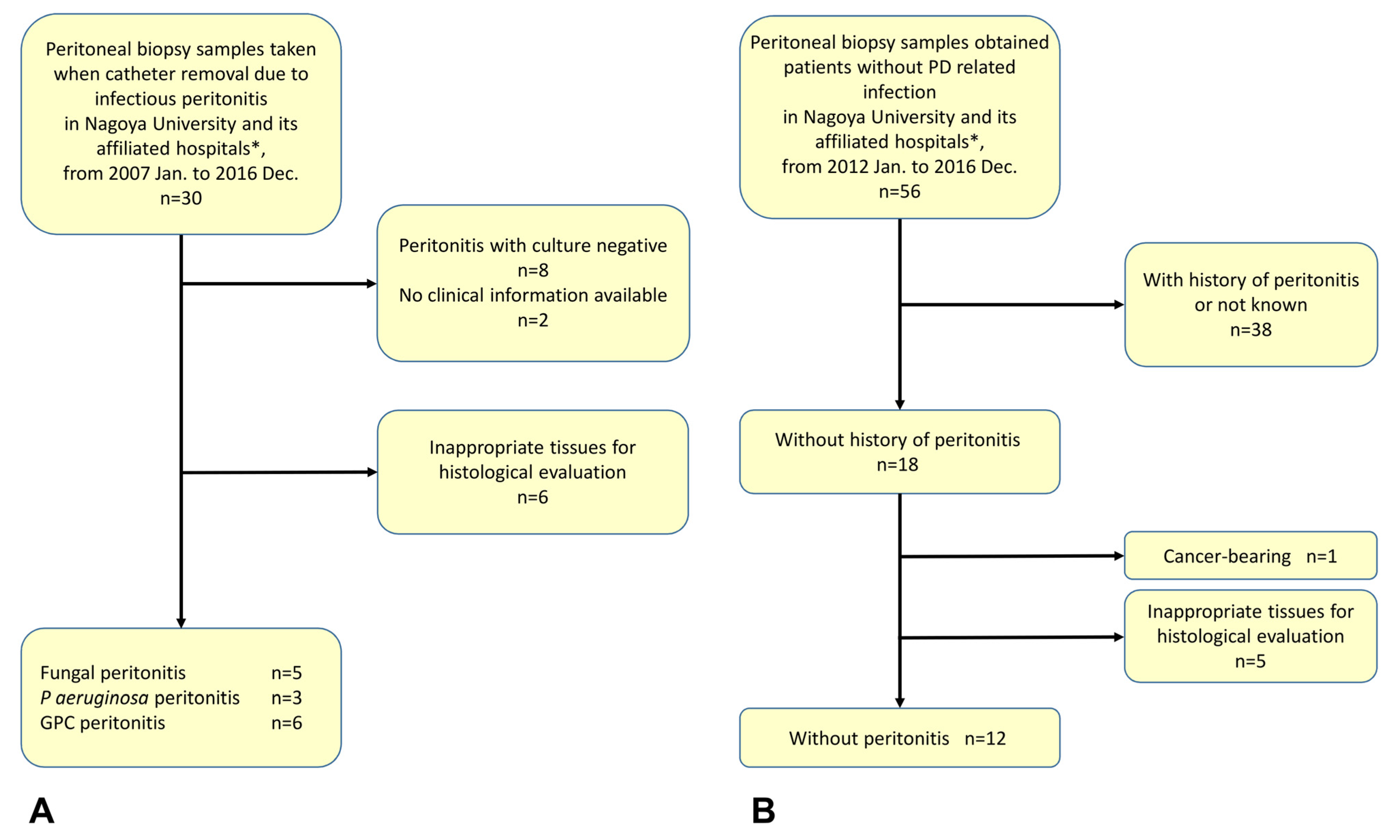 Ijms 24 09146 g007 Ijms 24 09146 g007