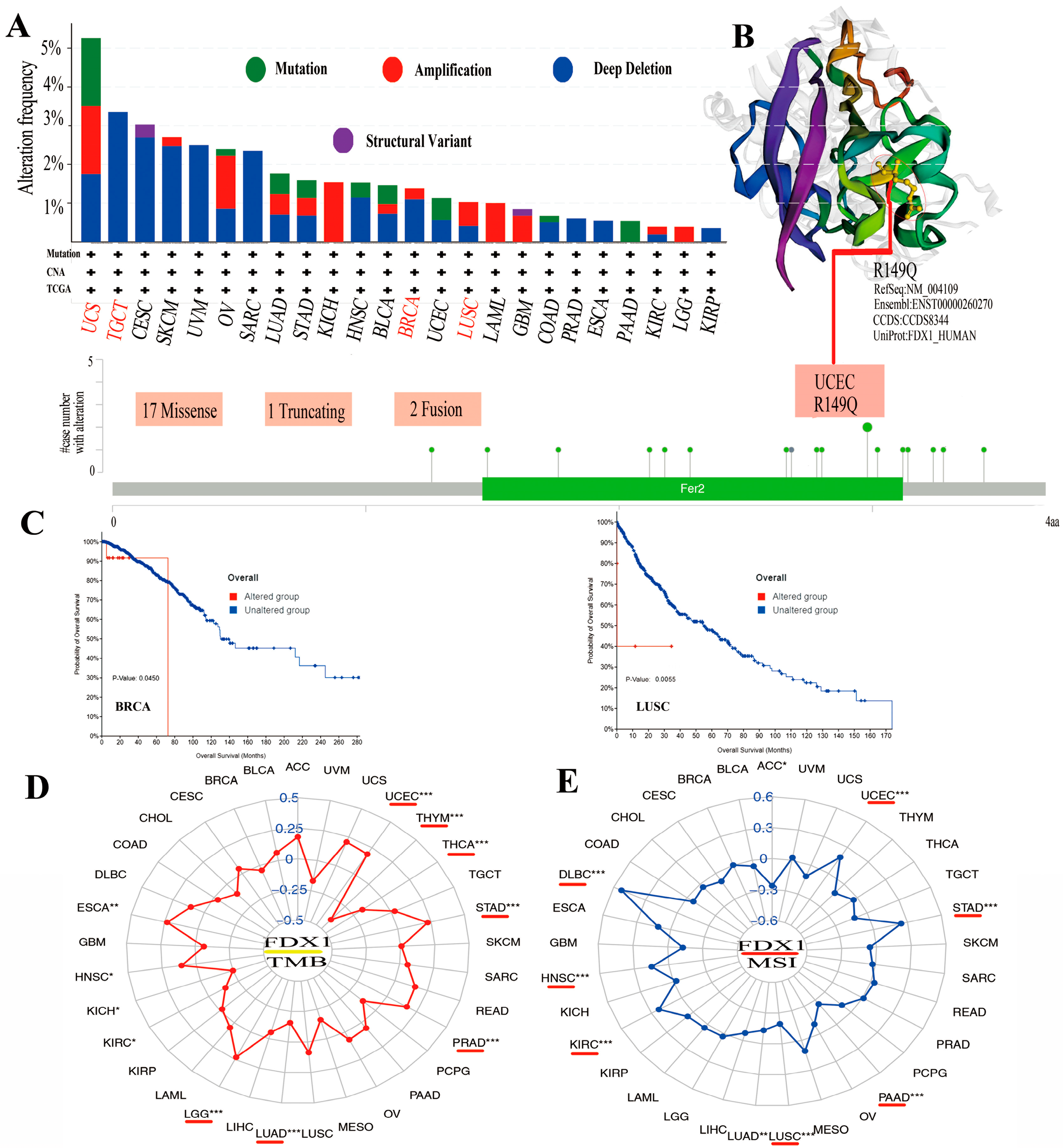 Ijms 24 09182 g004 Ijms 24 09182 g004