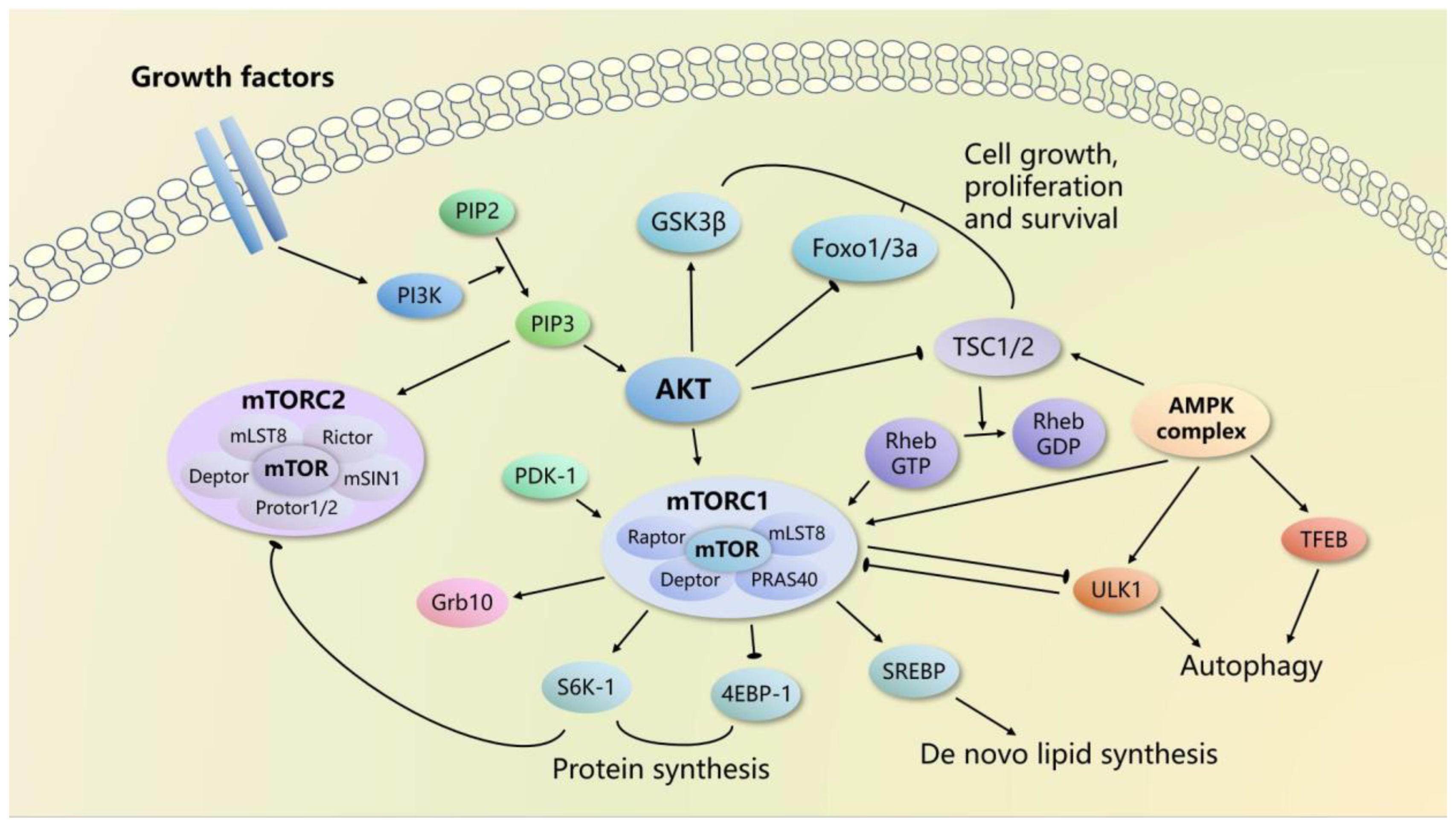 Ijms 24 09198 g001 Ijms 24 09198 g001