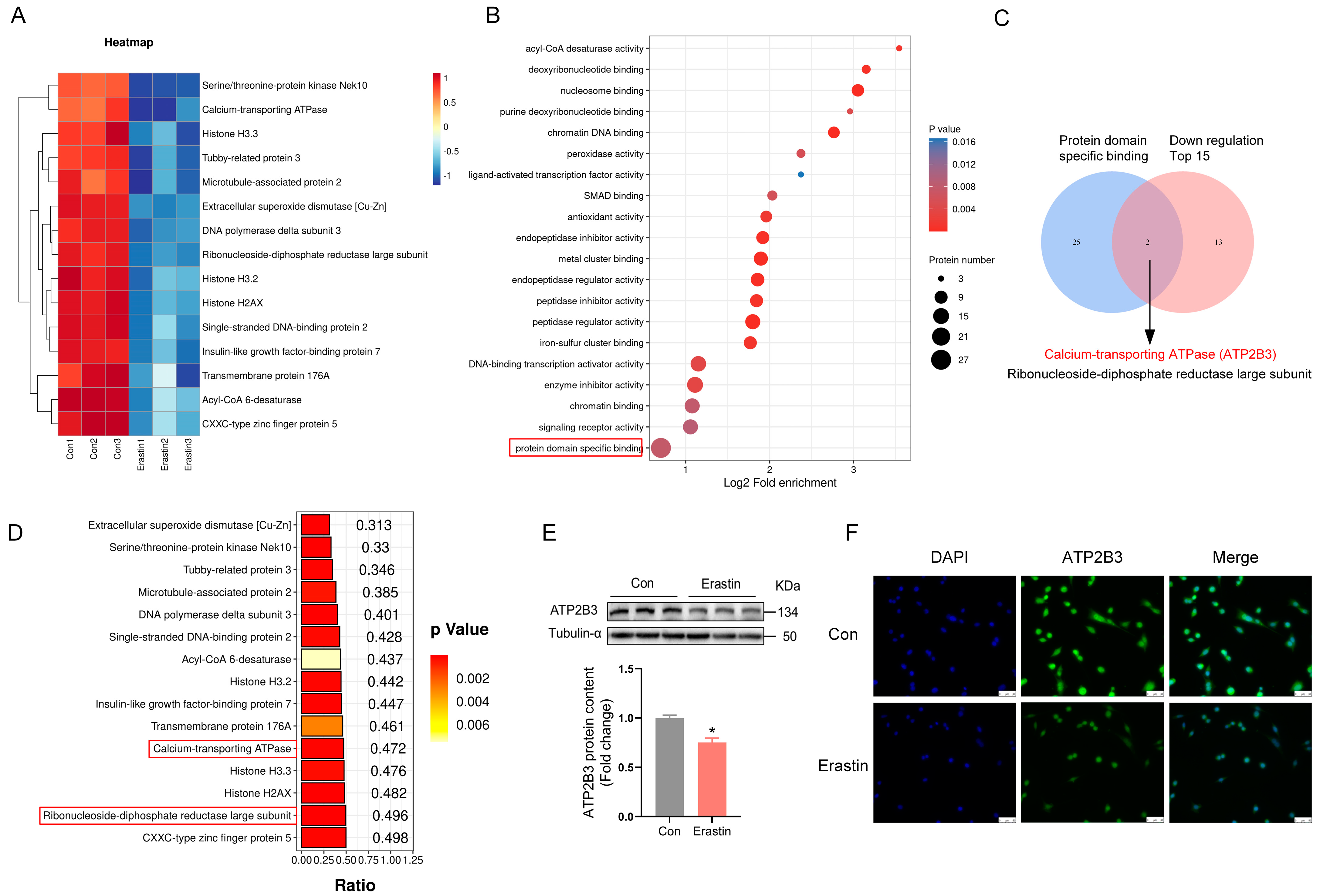 Ijms 24 09199 g001 Ijms 24 09199 g001