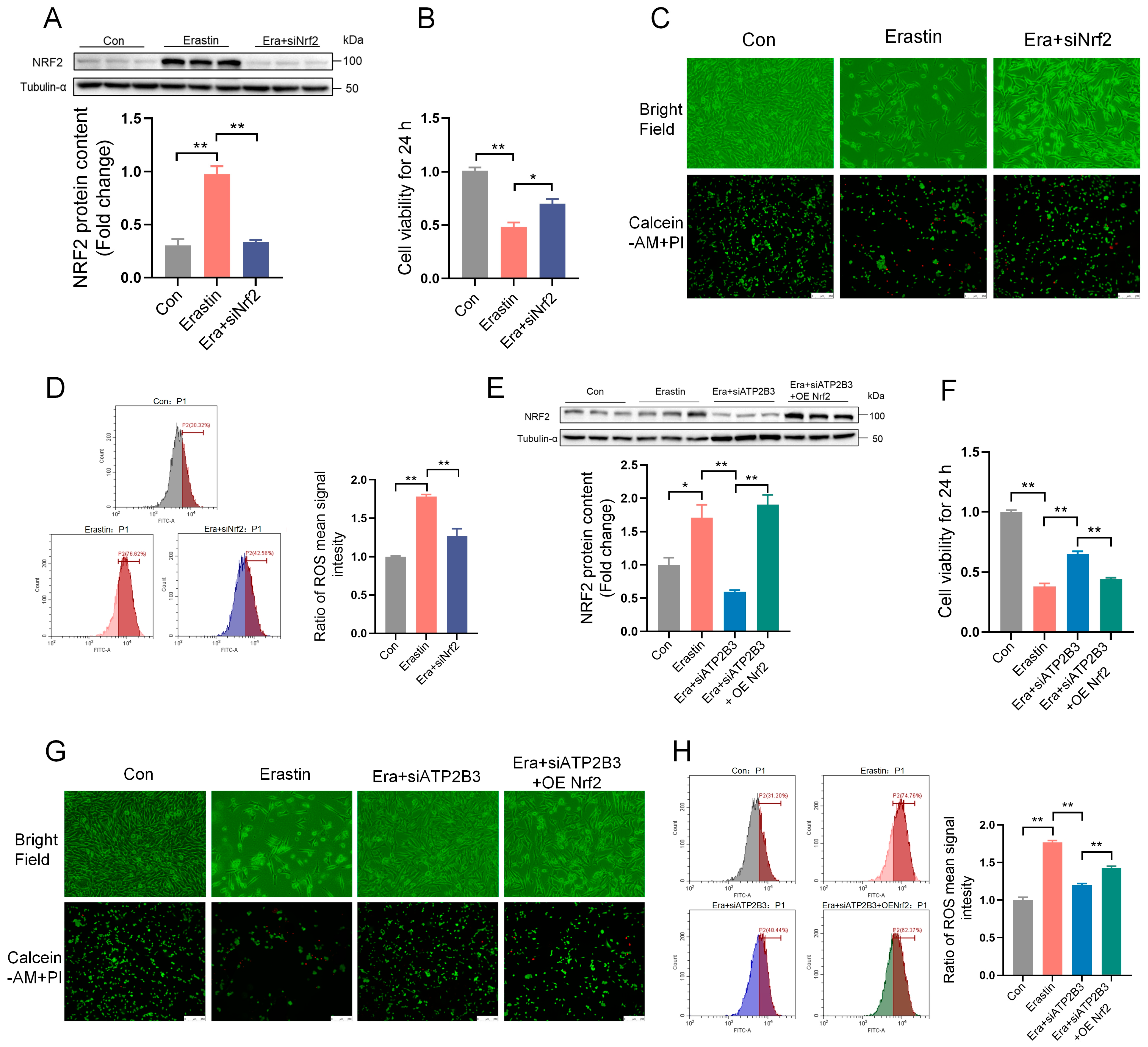 Ijms 24 09199 g006 Ijms 24 09199 g006