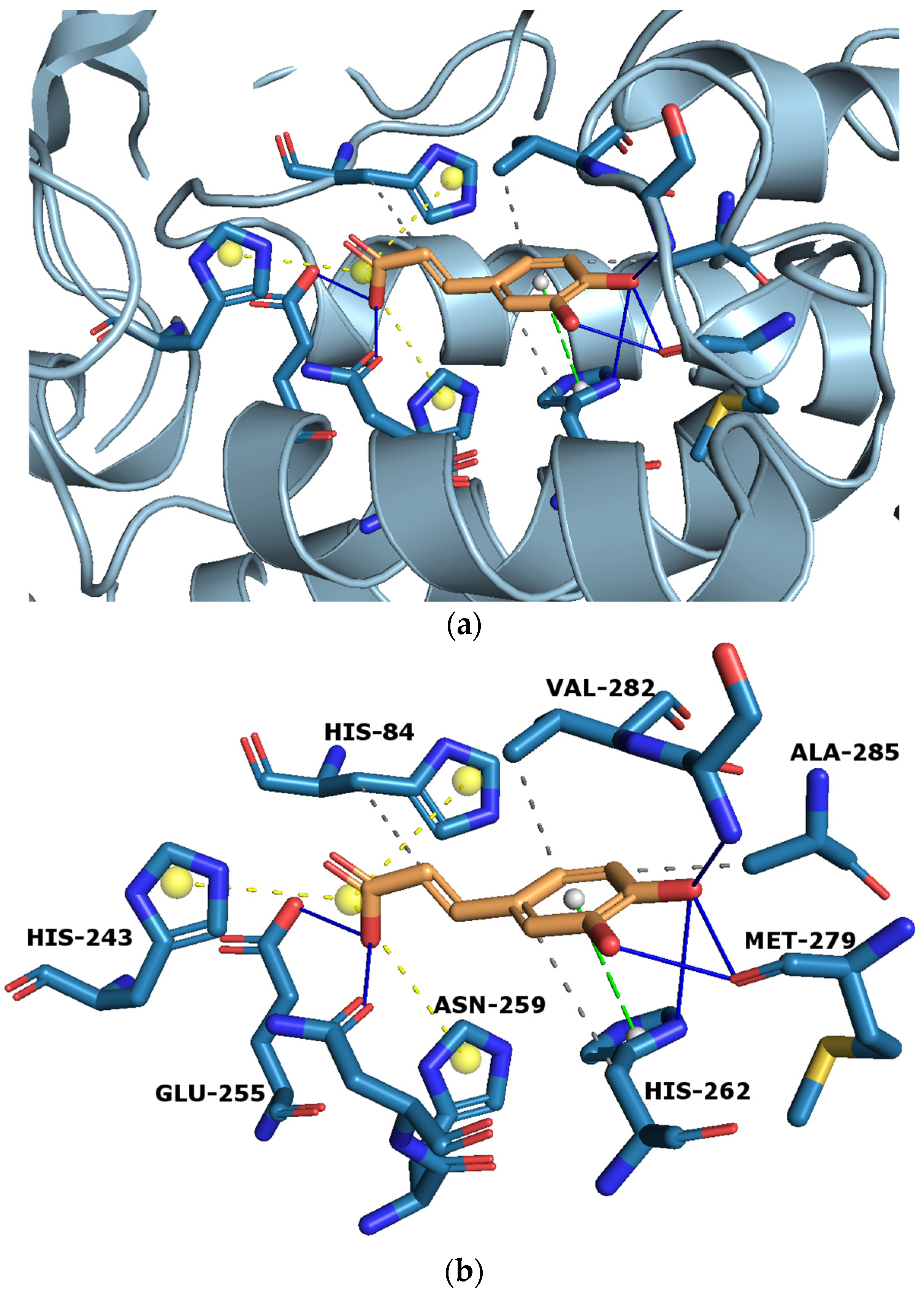 Ijms 24 09218 g006 Ijms 24 09218 g006