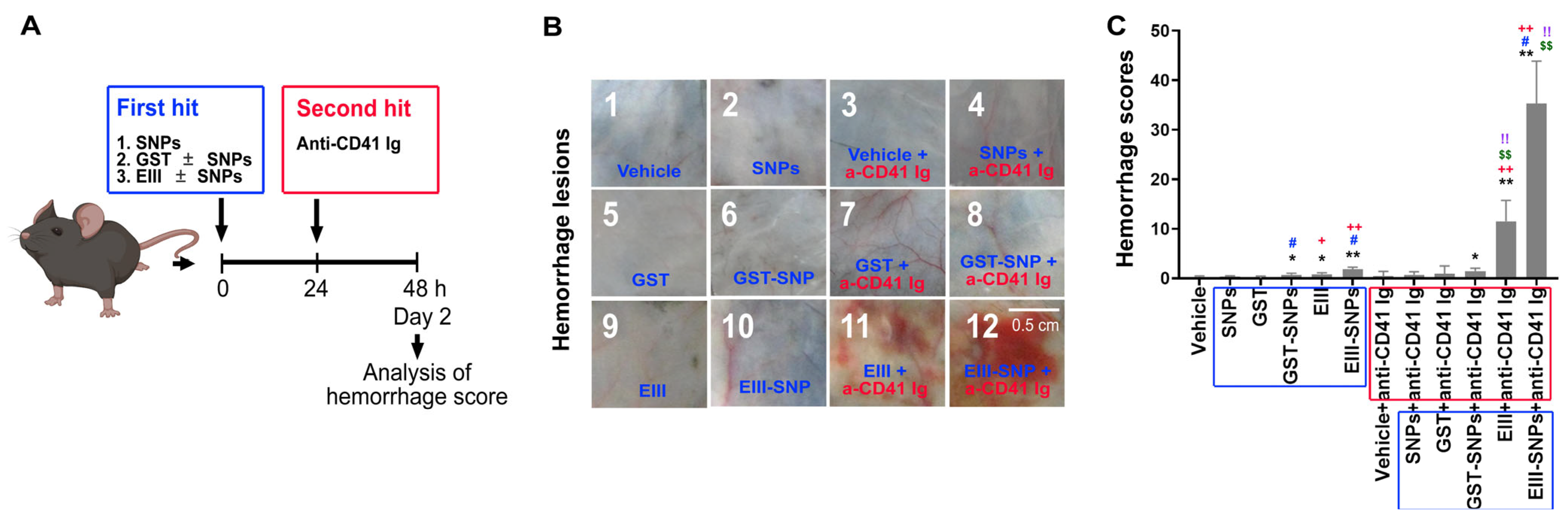 Ijms 24 09270 g003 Ijms 24 09270 g003