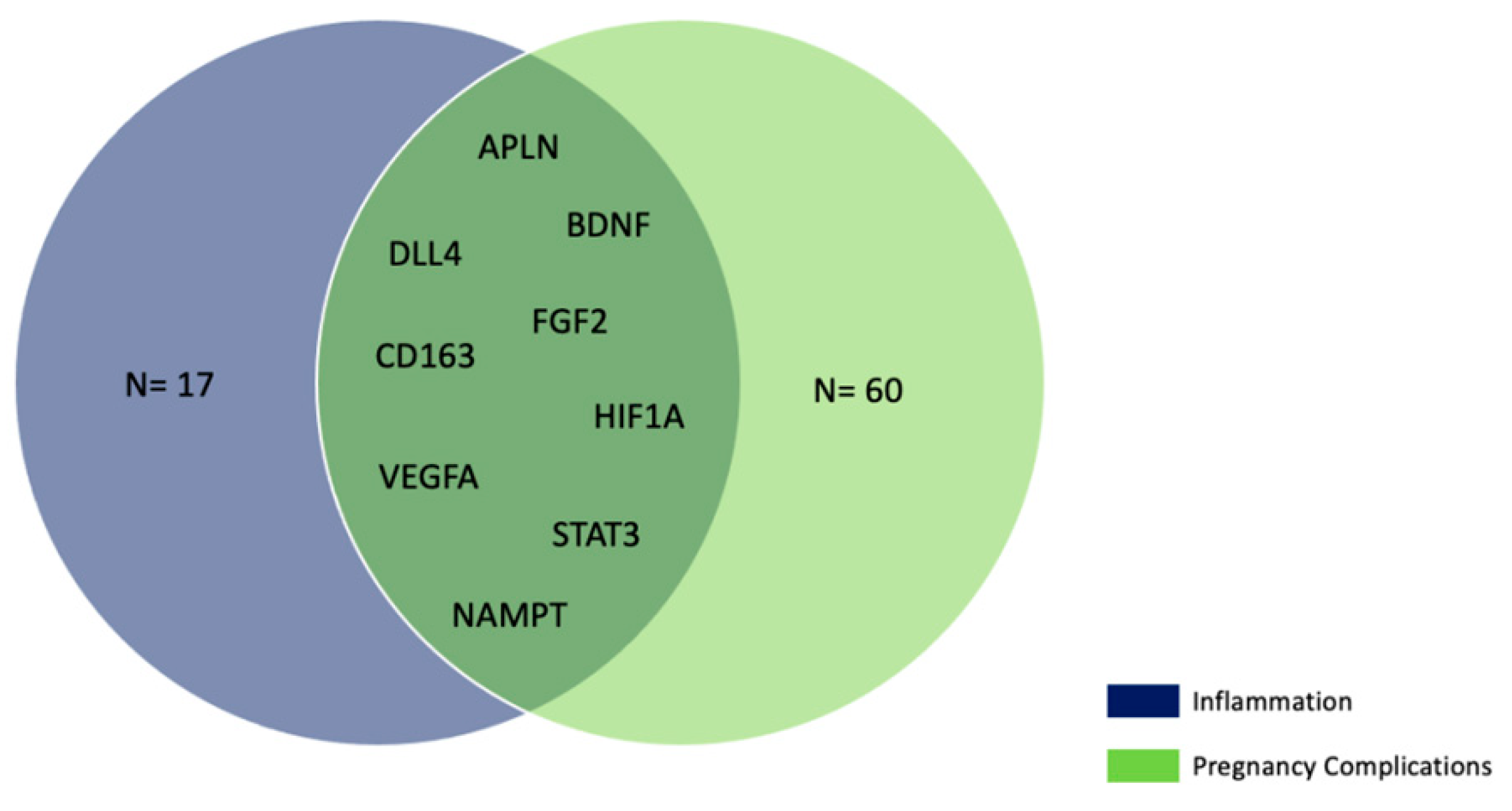 Ijms 24 09278 g007 Ijms 24 09278 g007