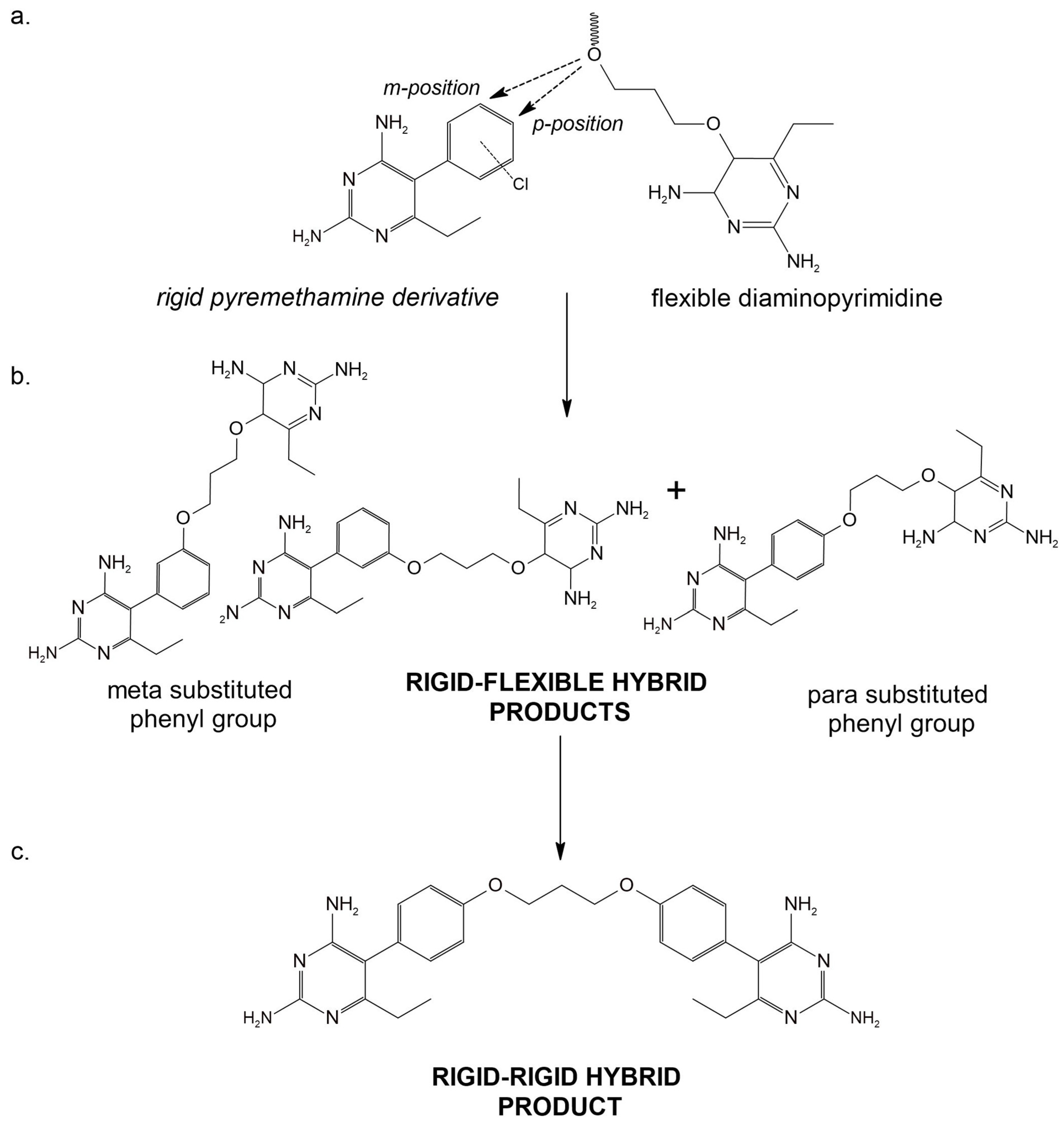 Ijms 24 09289 g019 Ijms 24 09289 g019