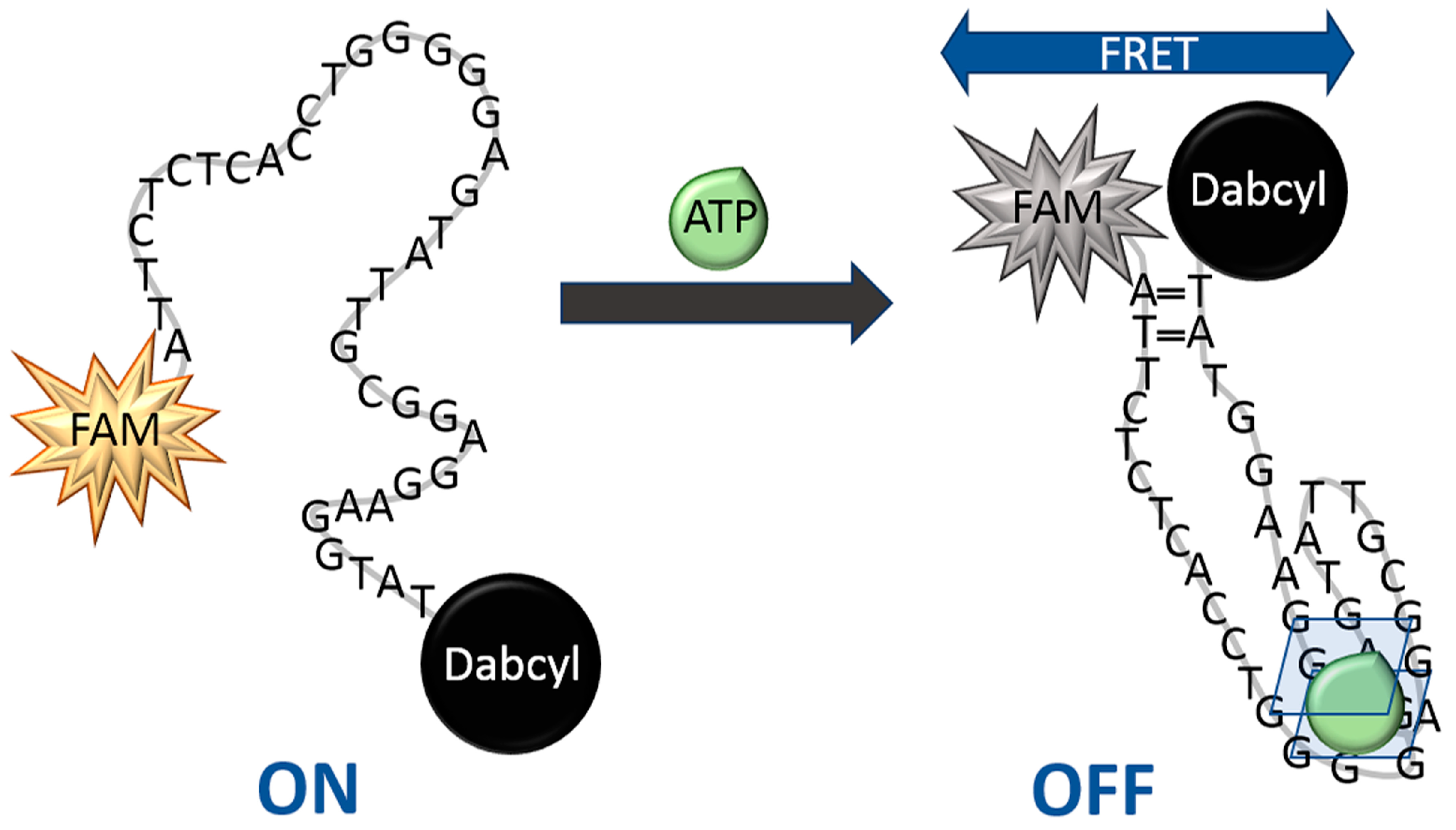Ijms 24 09295 sch001