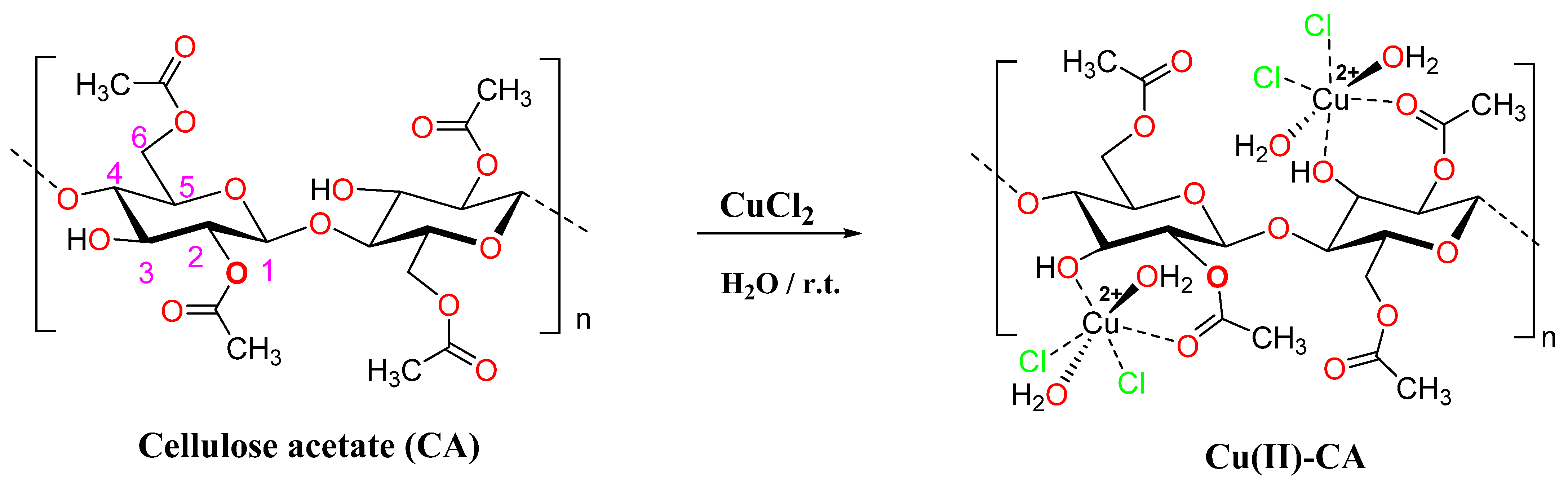 Ijms 24 09301 sch001