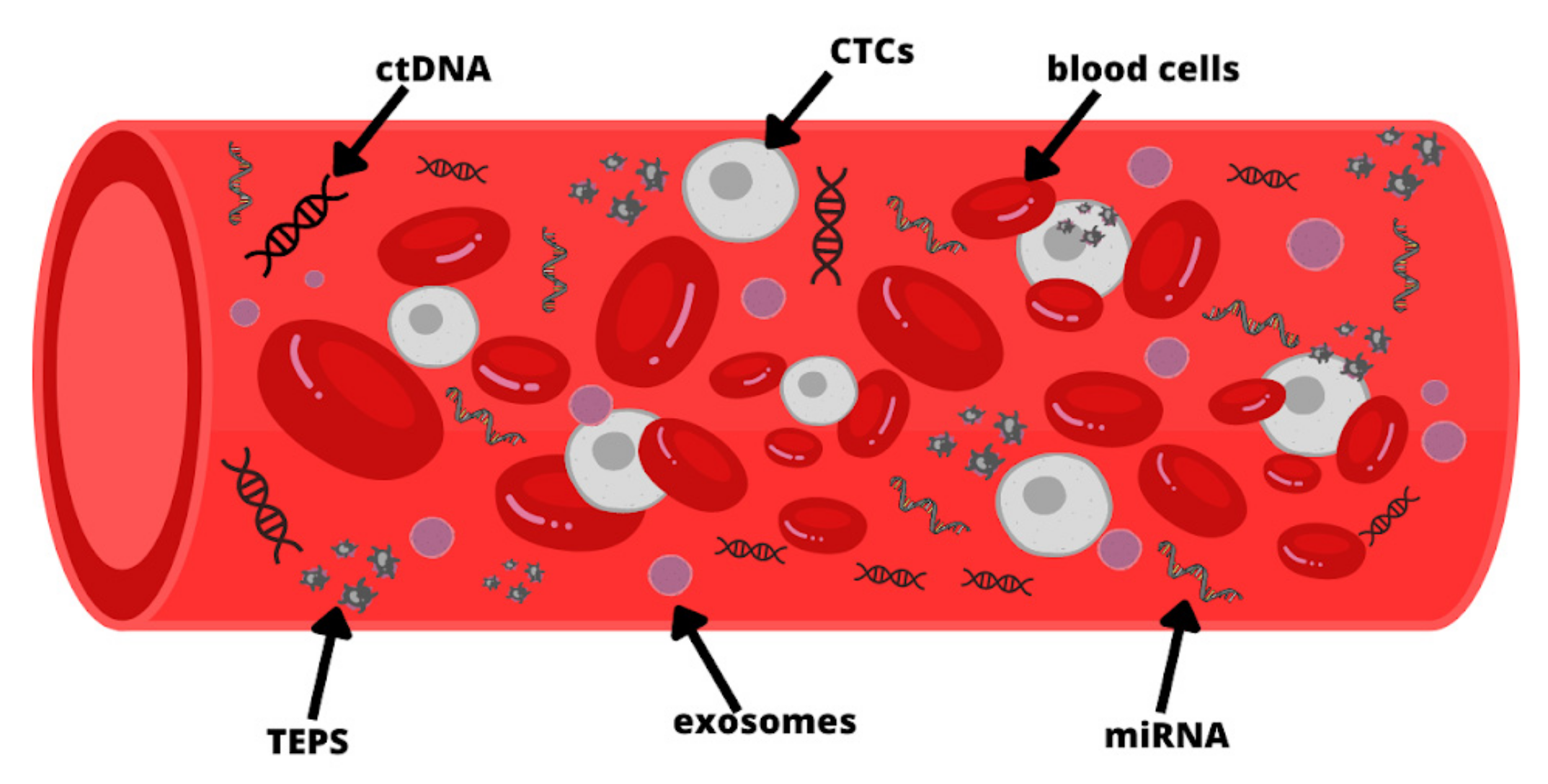 Ijms 24 09342 g001 Ijms 24 09342 g001