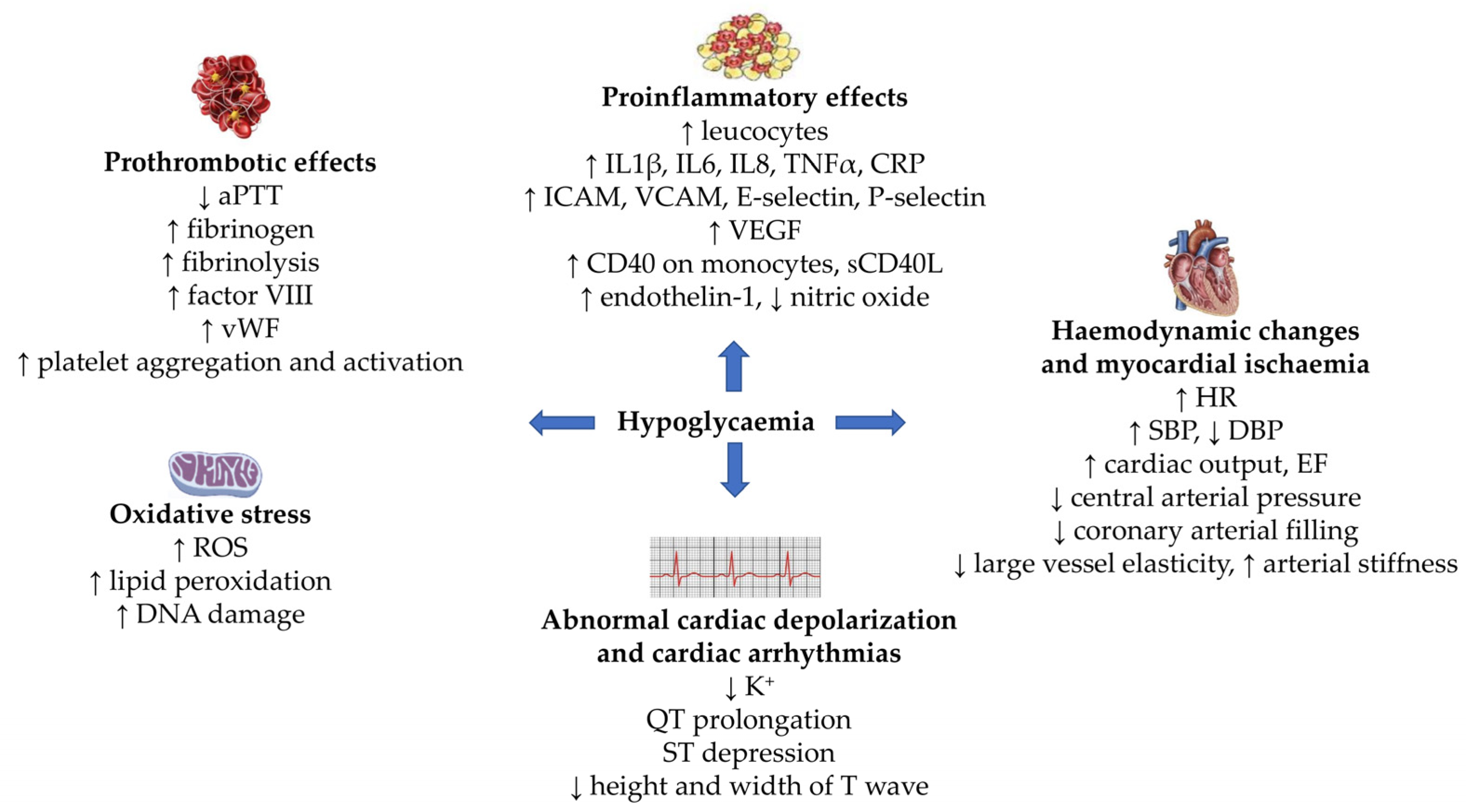 Ijms 24 09357 g002 Ijms 24 09357 g002