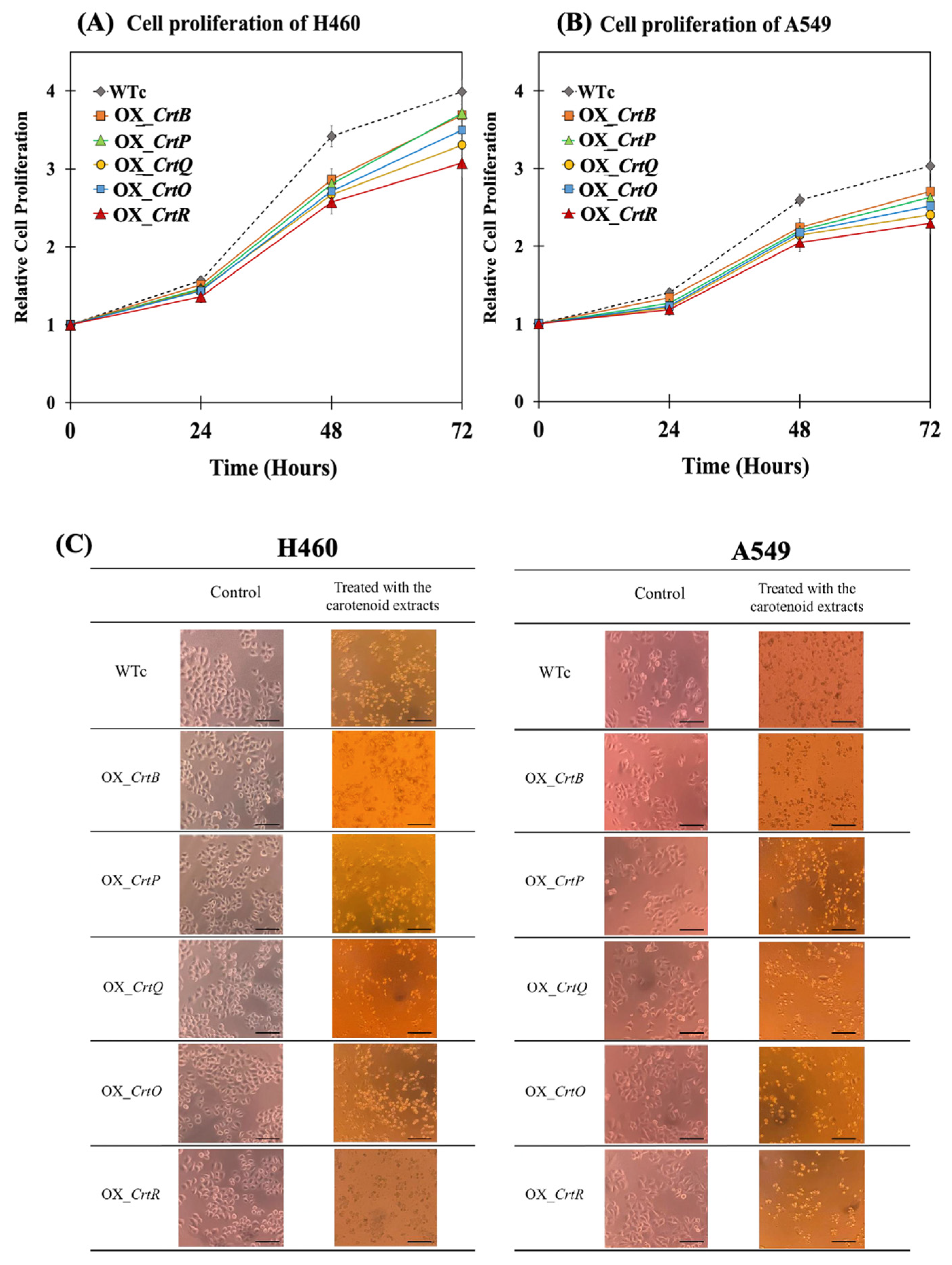Ijms 24 09370 g010
