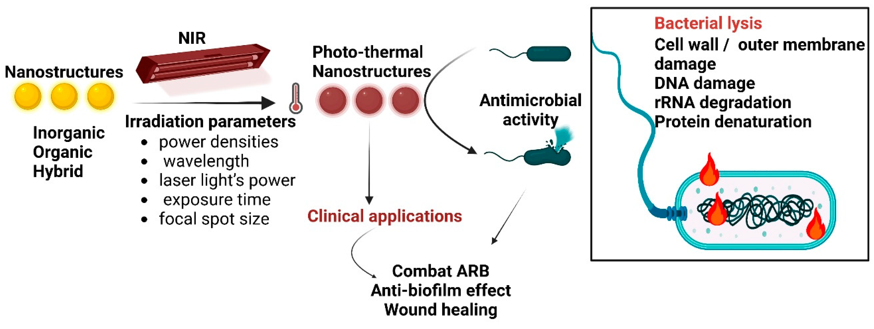 Ijms 24 09375 g001 Ijms 24 09375 g001