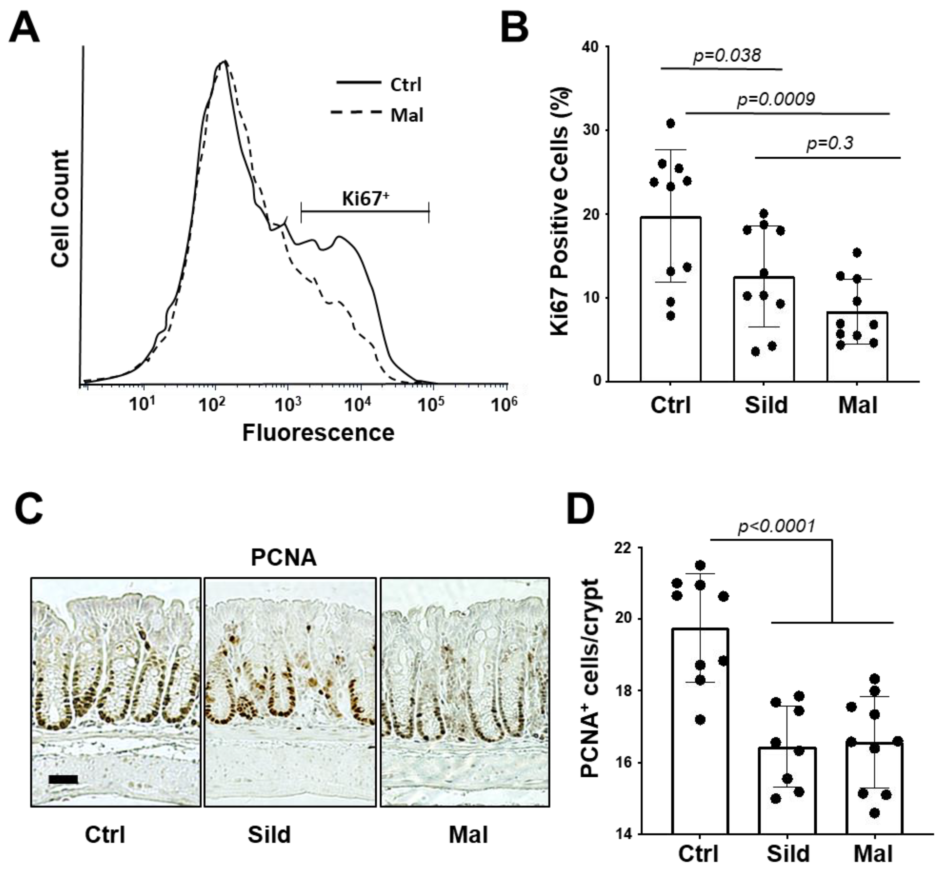 Ijms 24 09397 g007 Ijms 24 09397 g007