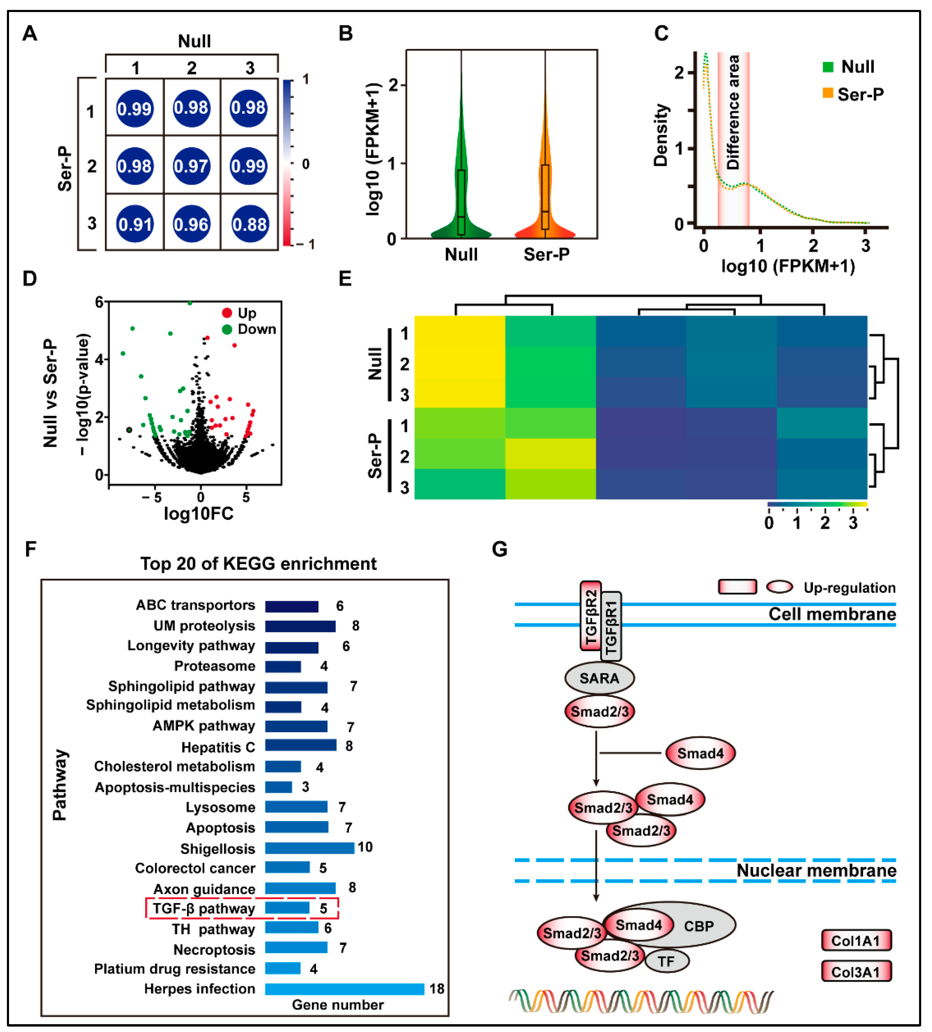 Ijms 24 09425 g002 Ijms 24 09425 g002