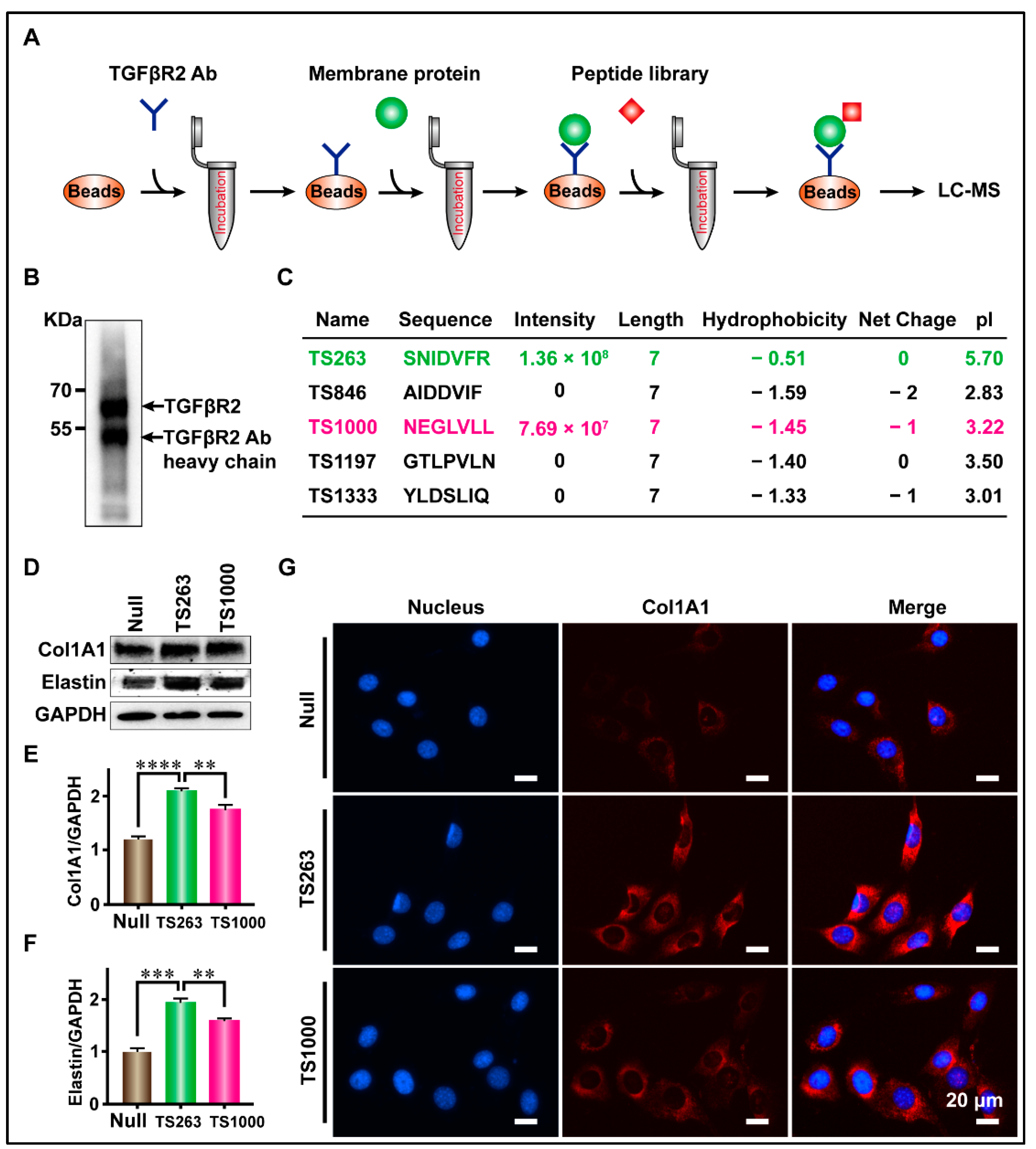 Ijms 24 09425 g003 Ijms 24 09425 g003