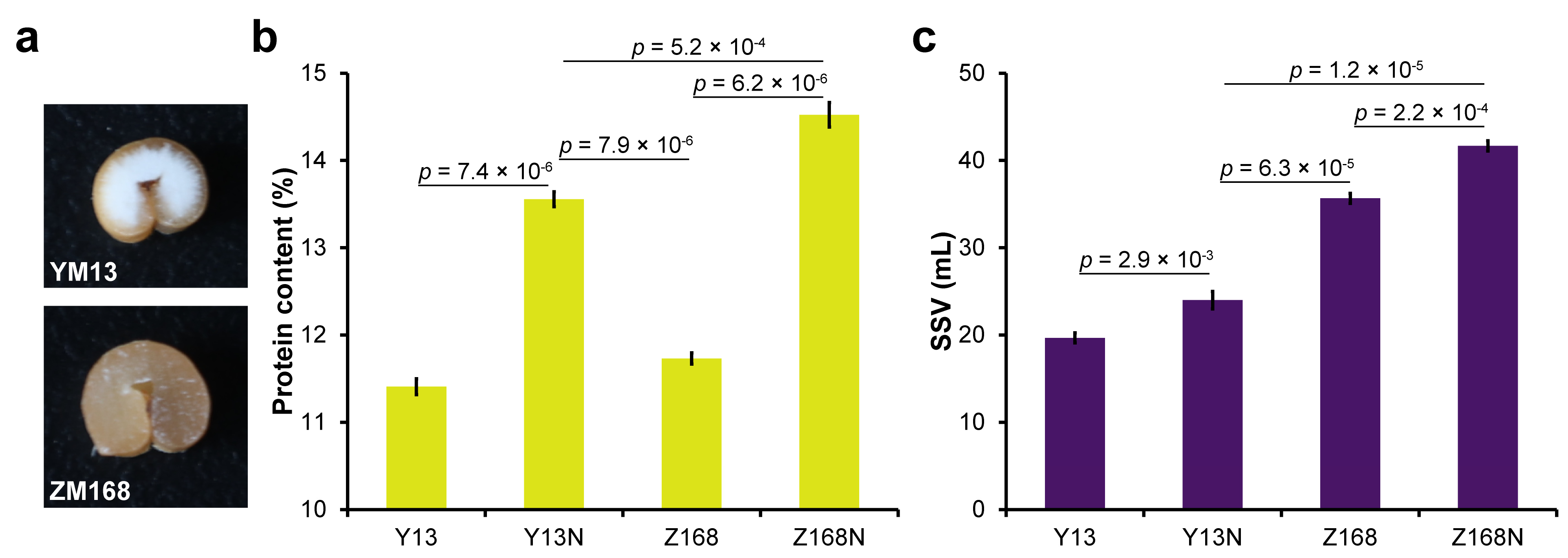 Ijms 24 09447 g001 Ijms 24 09447 g001