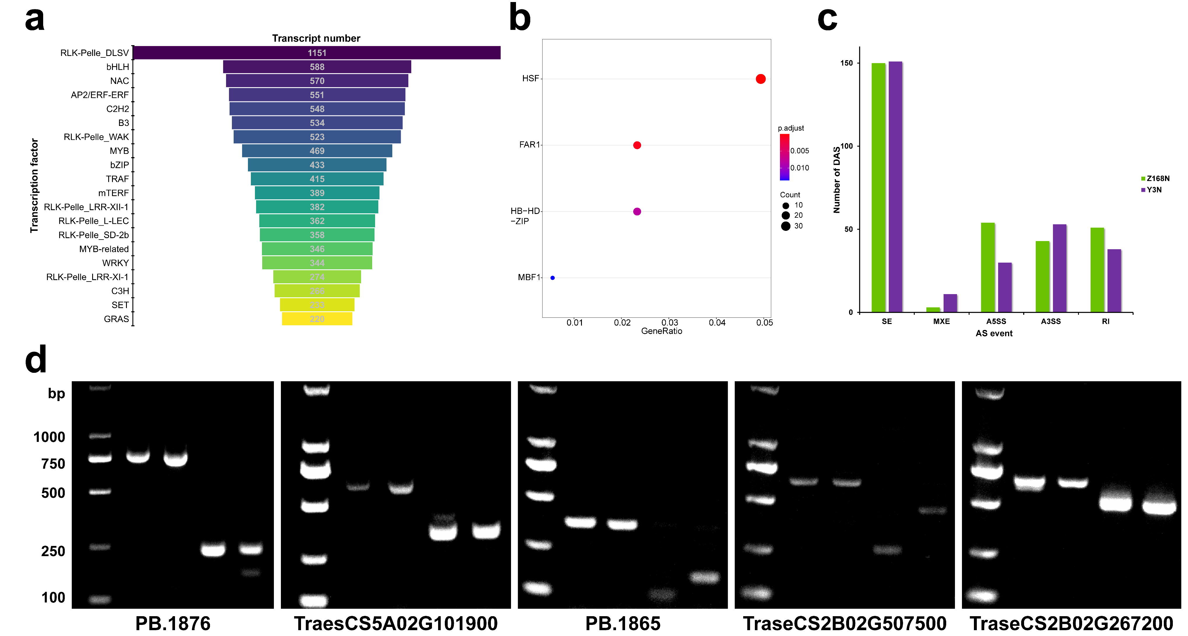 Ijms 24 09447 g004 Ijms 24 09447 g004