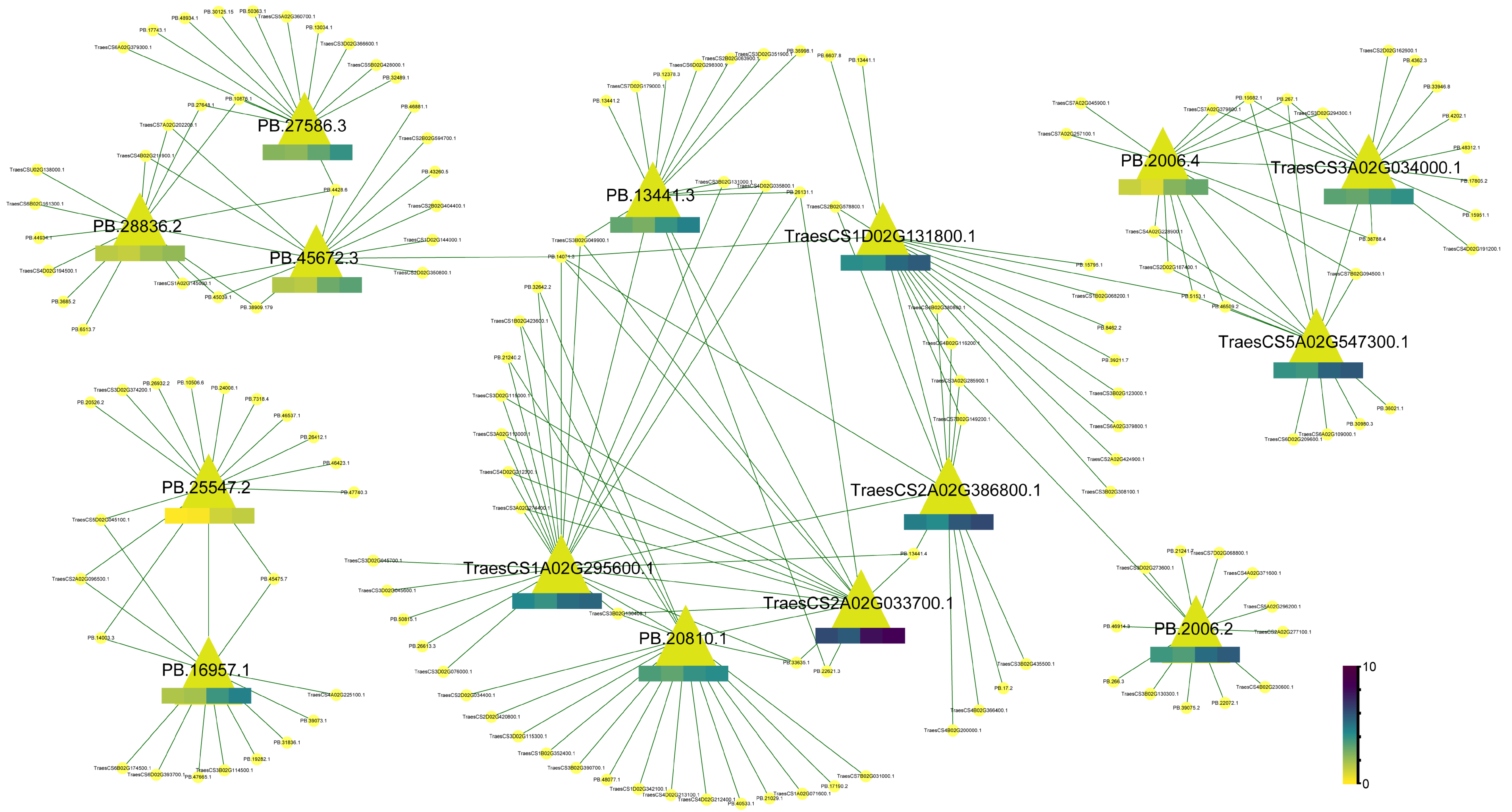 Ijms 24 09447 g005 Ijms 24 09447 g005