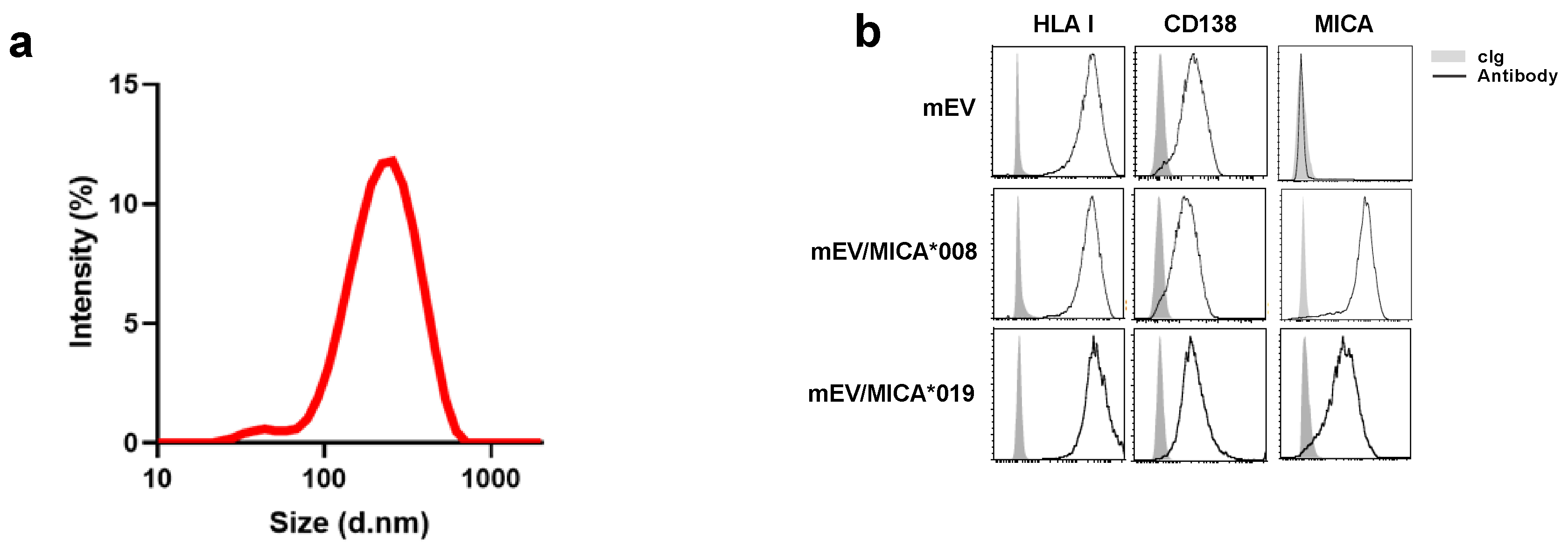 Ijms 24 09467 g001 Ijms 24 09467 g001