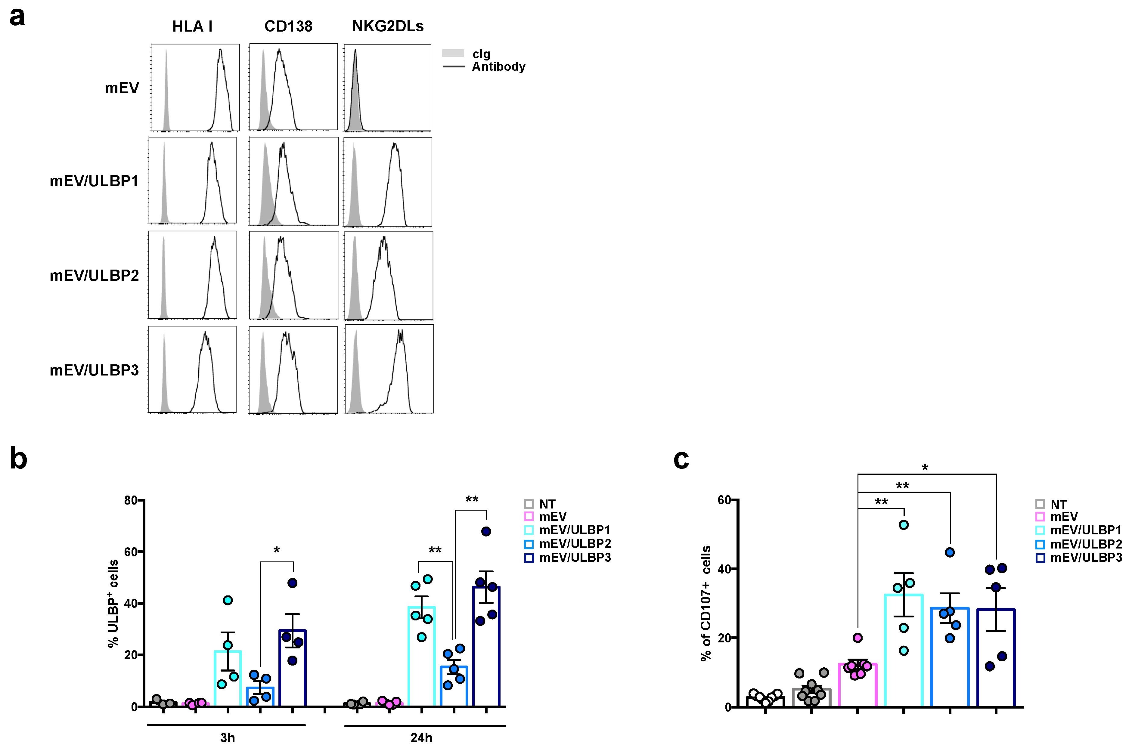 Ijms 24 09467 g004 Ijms 24 09467 g004