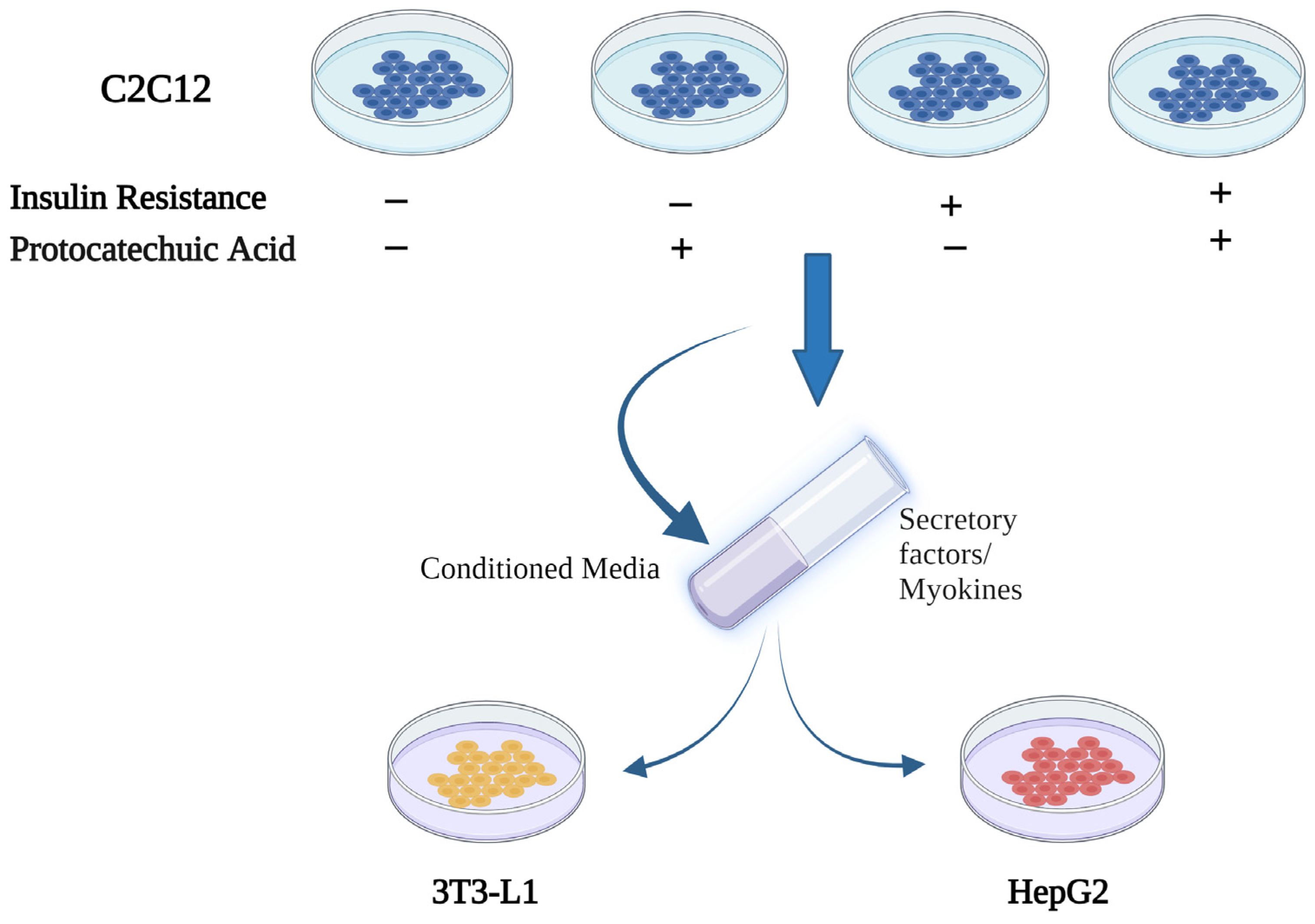 Ijms 24 09490 g001 Ijms 24 09490 g001