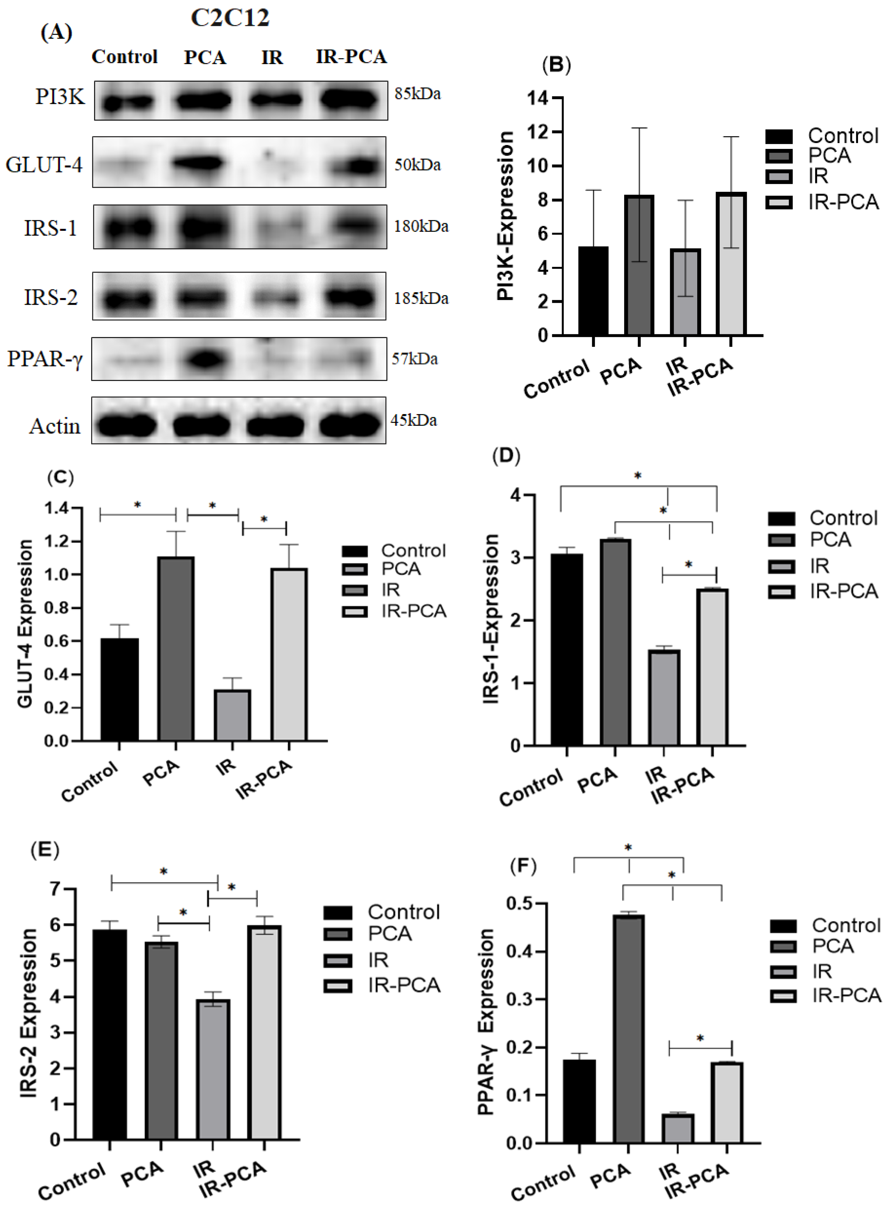 Ijms 24 09490 g007 Ijms 24 09490 g007